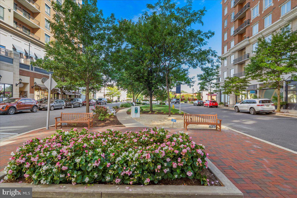 ANNAPOLIS TOWNE CENTRE - Residential Lease