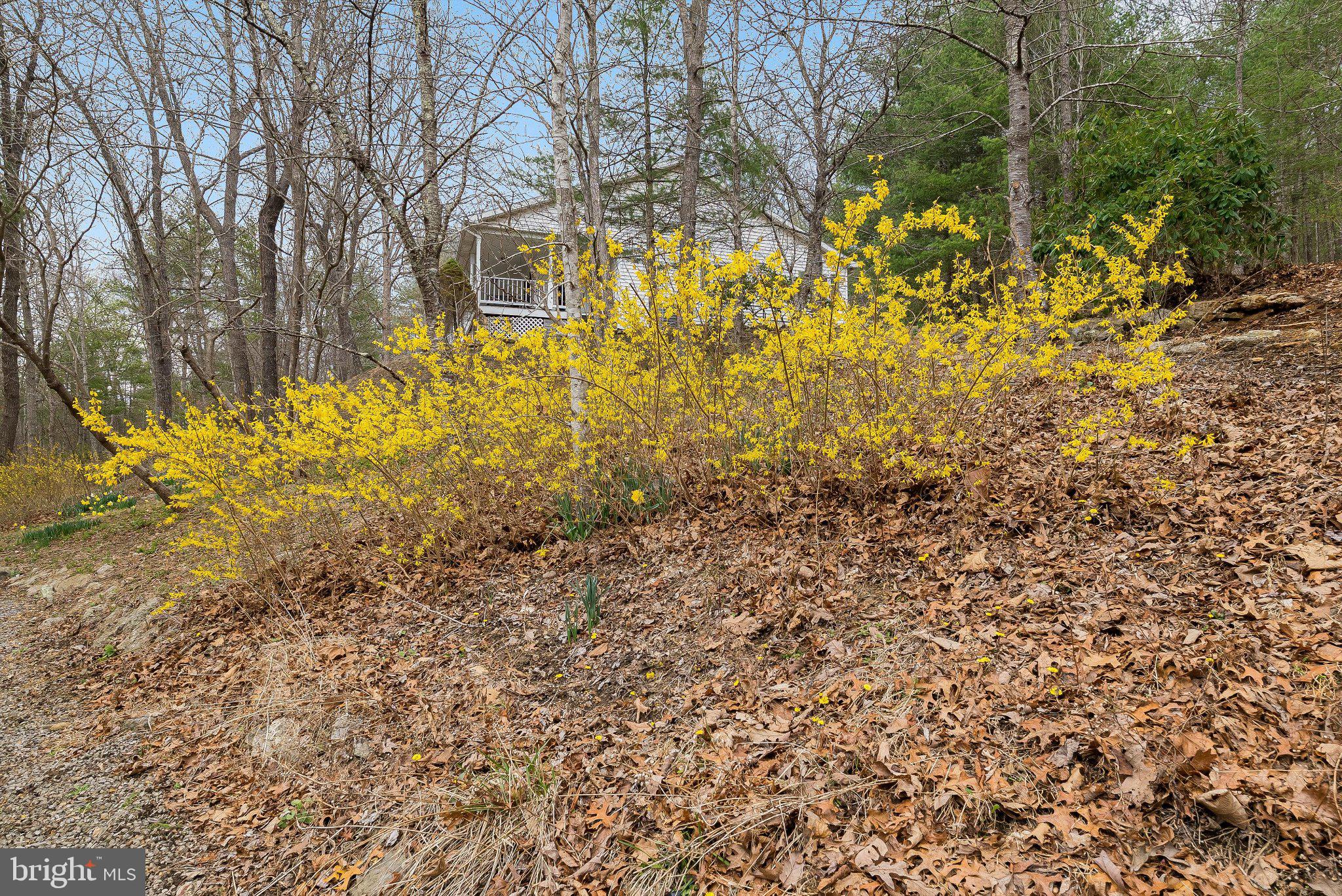 OAKMONT - Residential