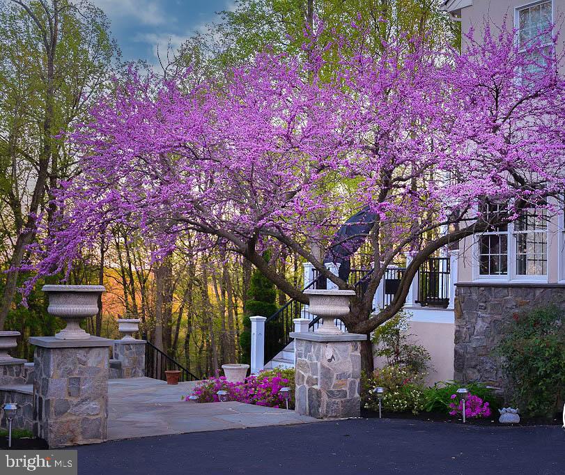 HUNT VALLEY CHASE - Residential