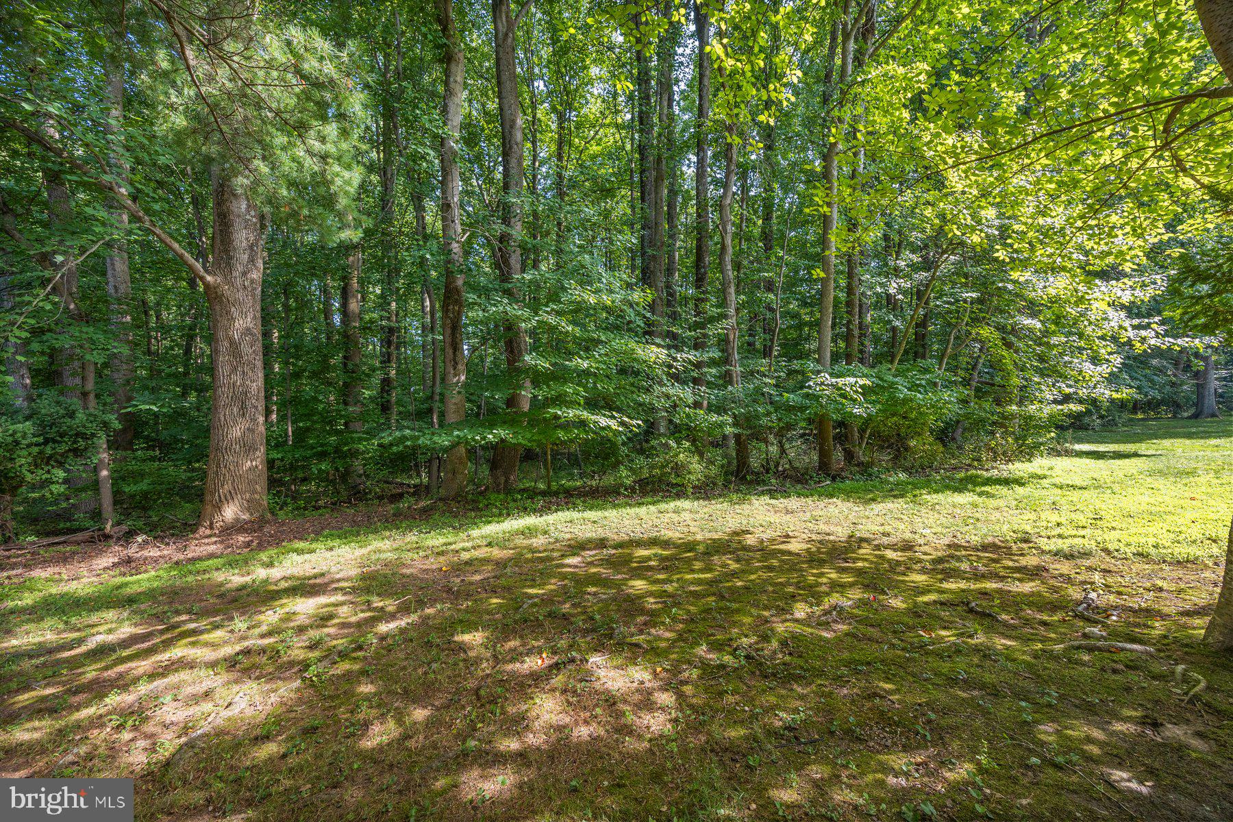 HICKORY RIDGE - Residential