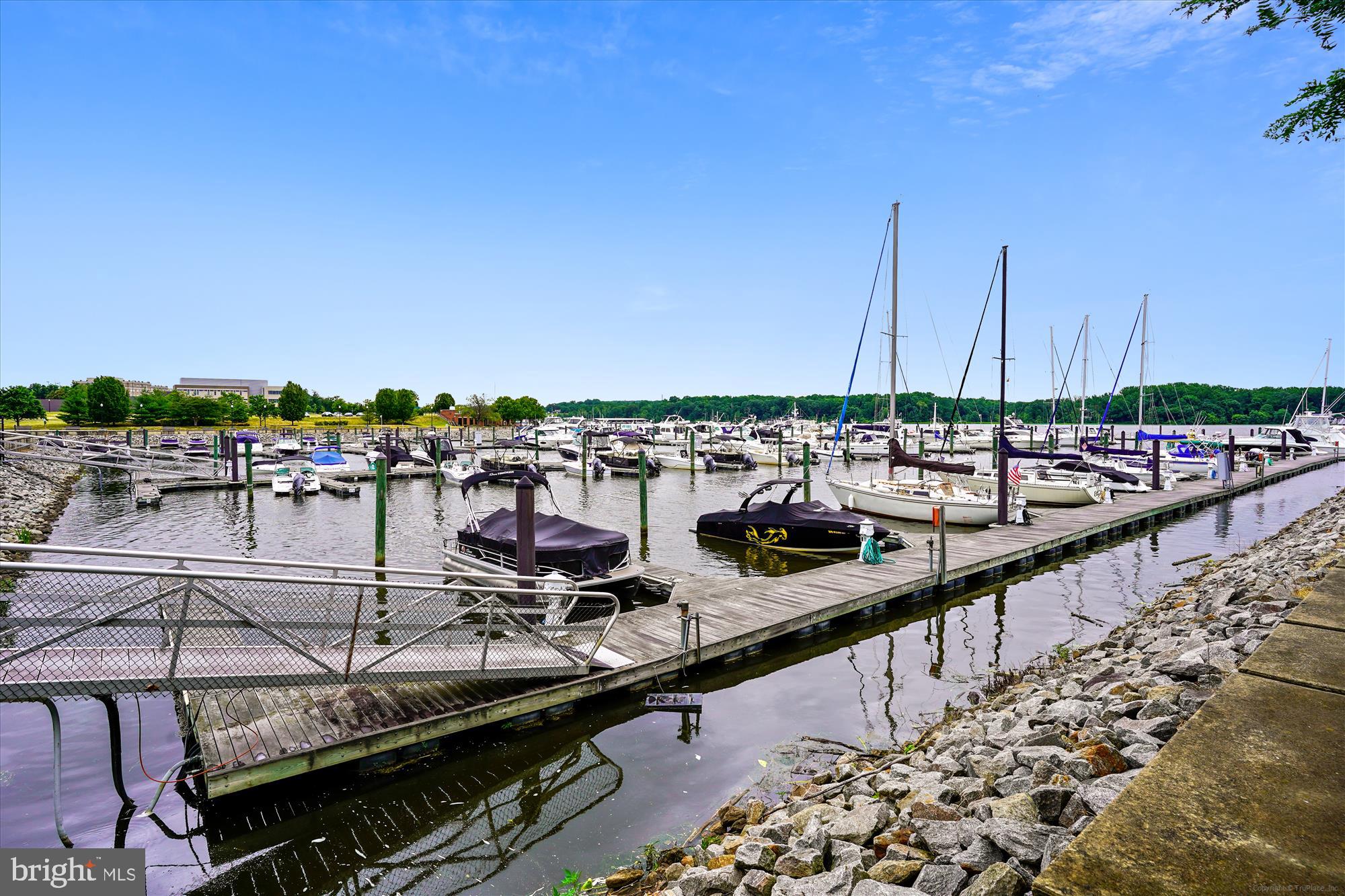 BELMONT BAY - Residential Lease
