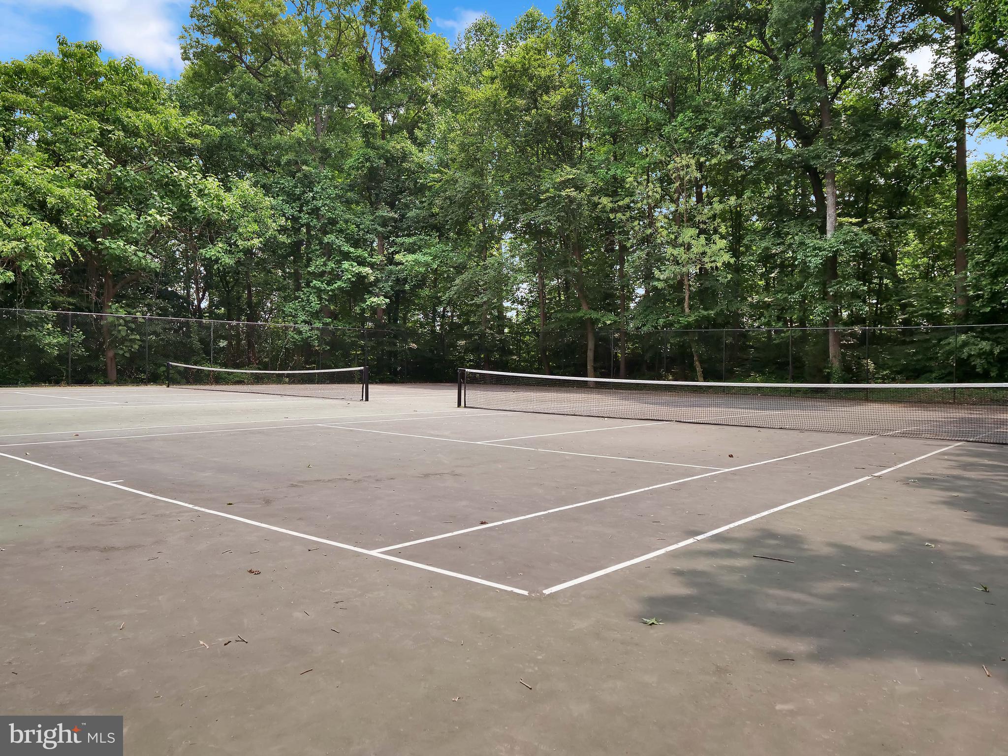 SPRINGFIELD OAKS - Residential Lease