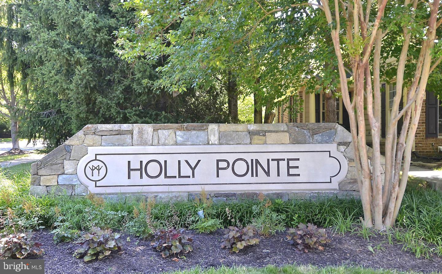 HOLLY POINTE - Residential