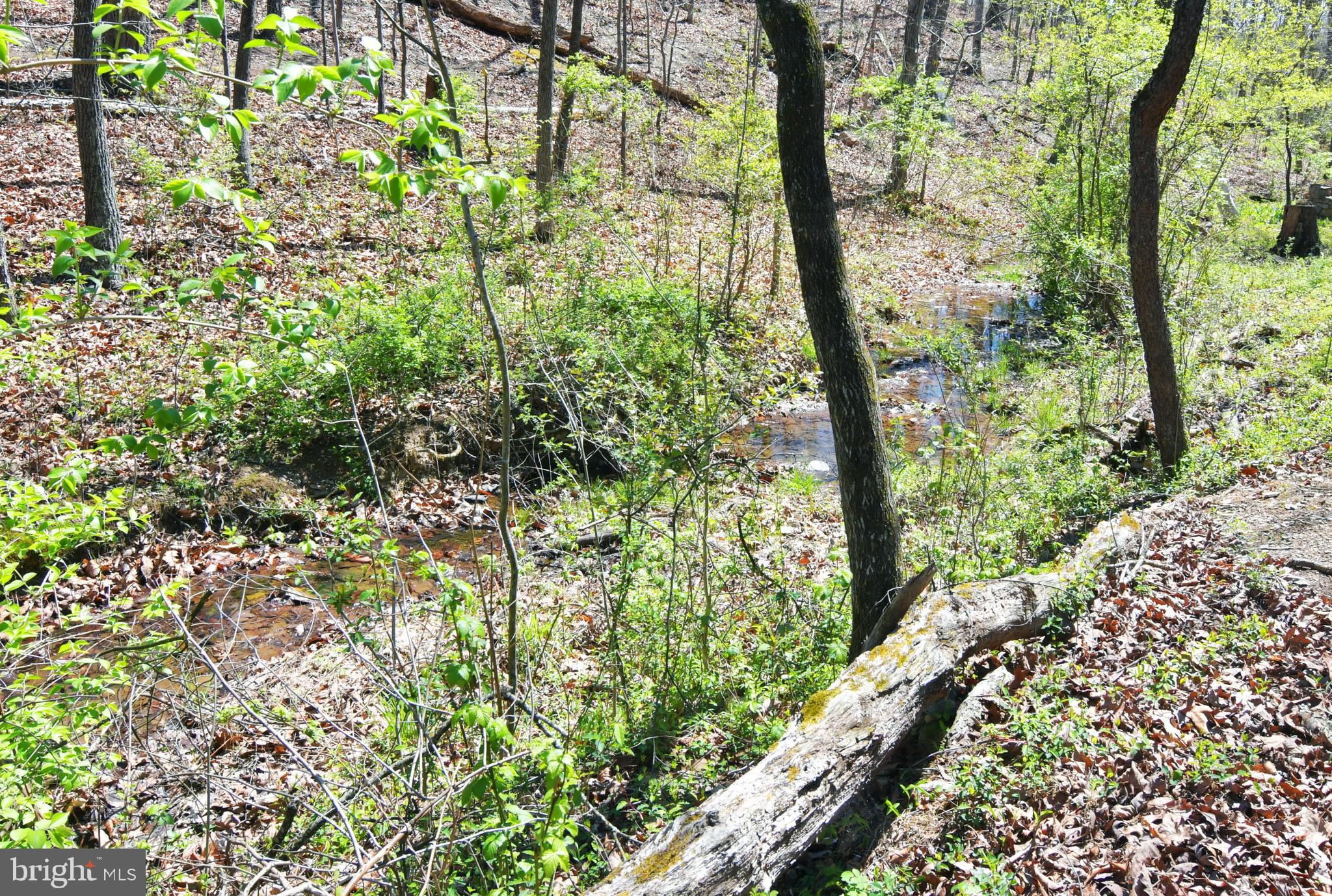 OPEQUON RIDGE III - Residential