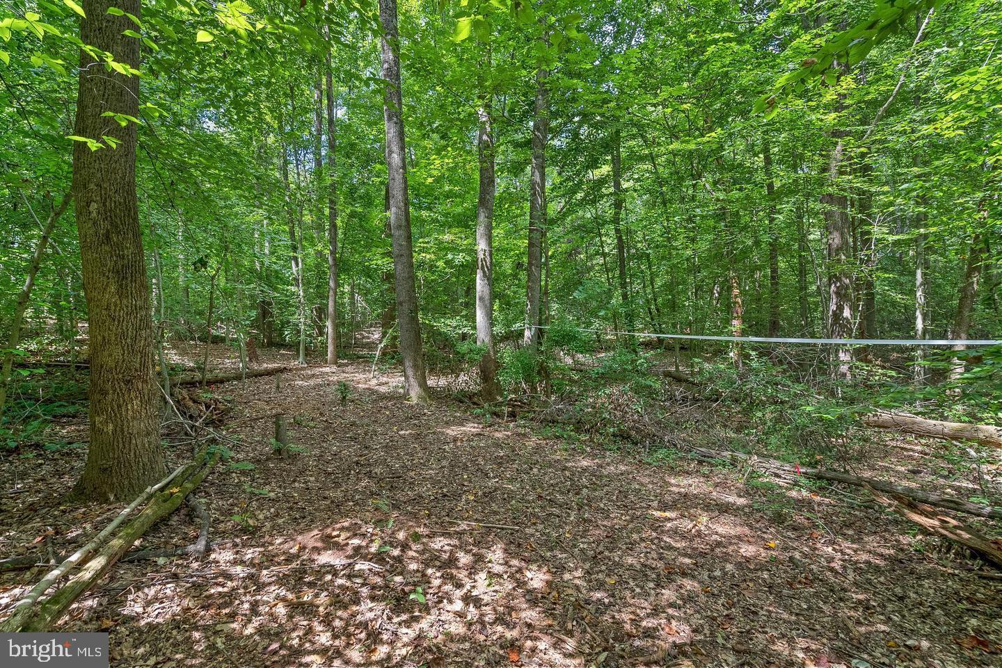 LOCUST HILL - Land