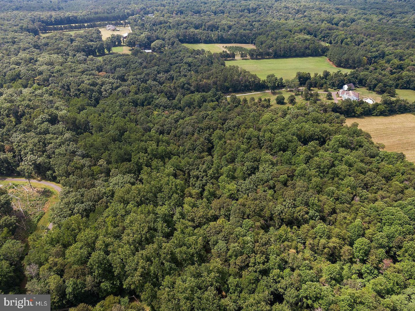 LOCUST HILL - Land