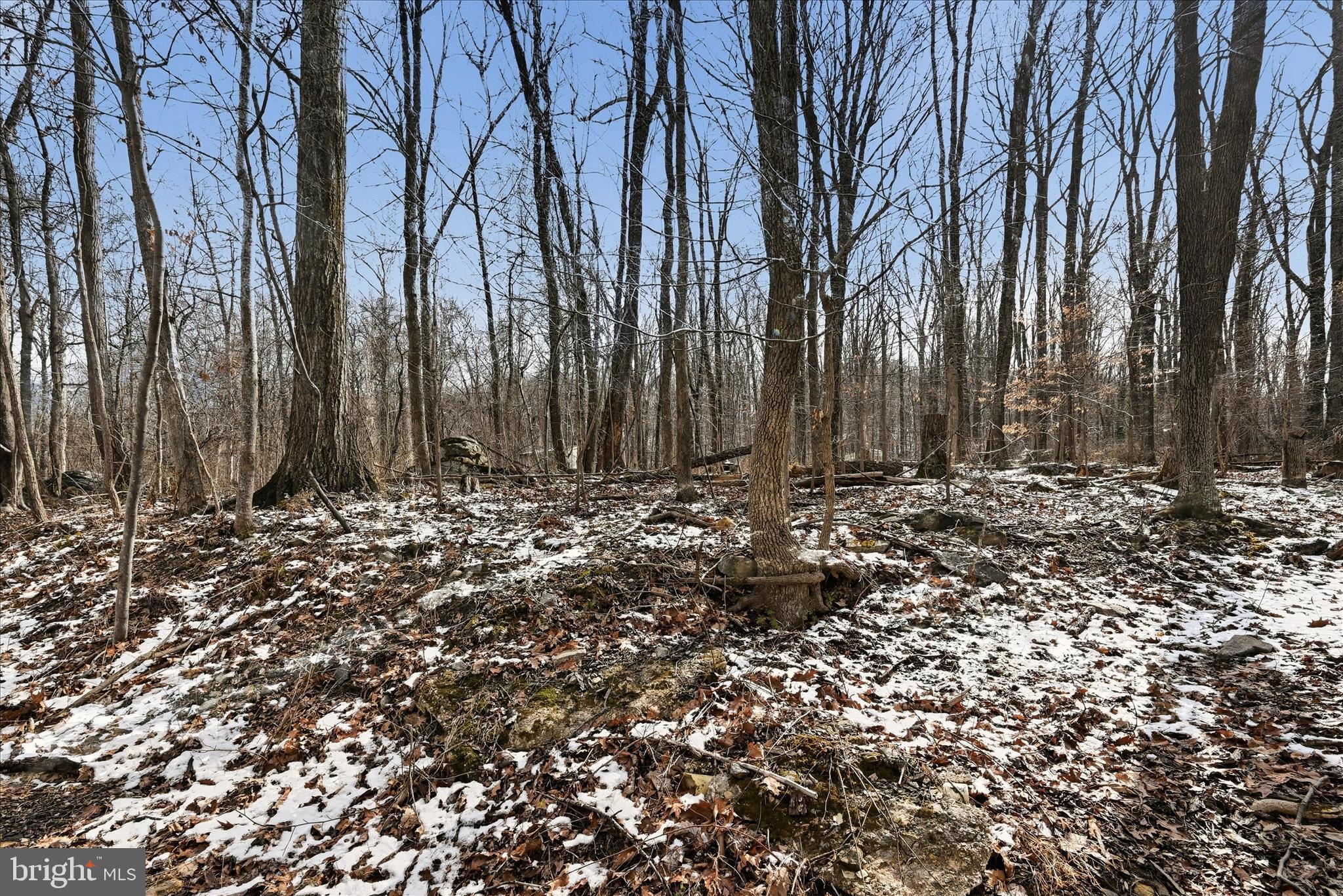WEST RIDGE HILLS - Land