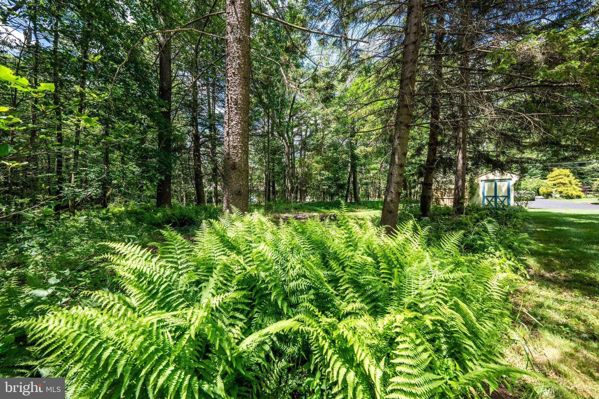 GREENWOOD ACRES - Residential