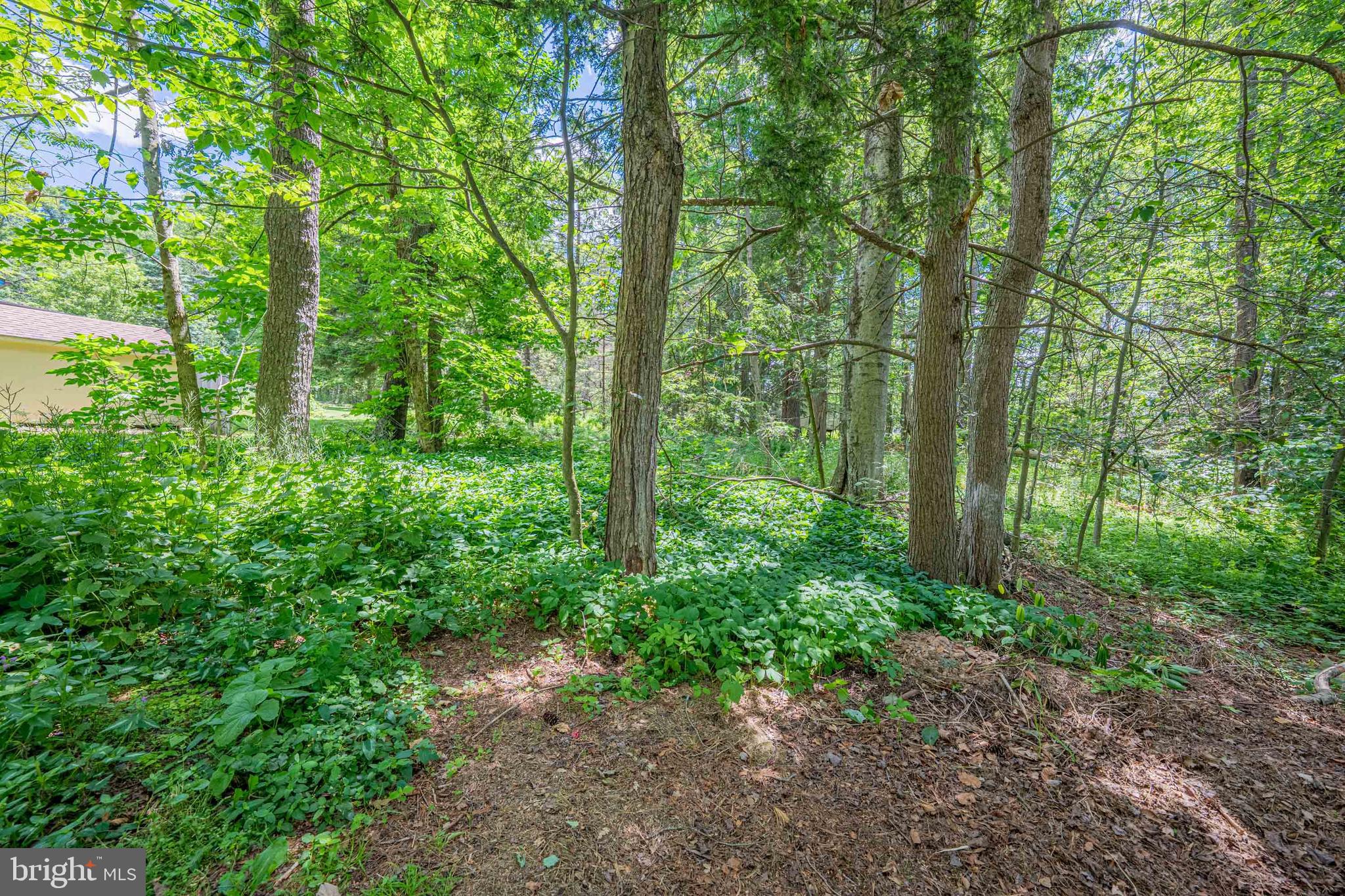 GREENWOOD ACRES - Residential