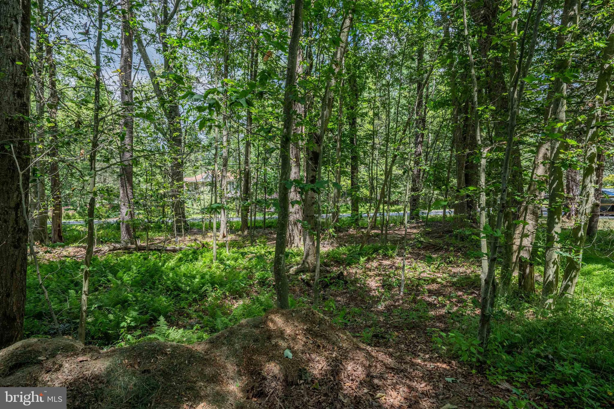 GREENWOOD ACRES - Residential
