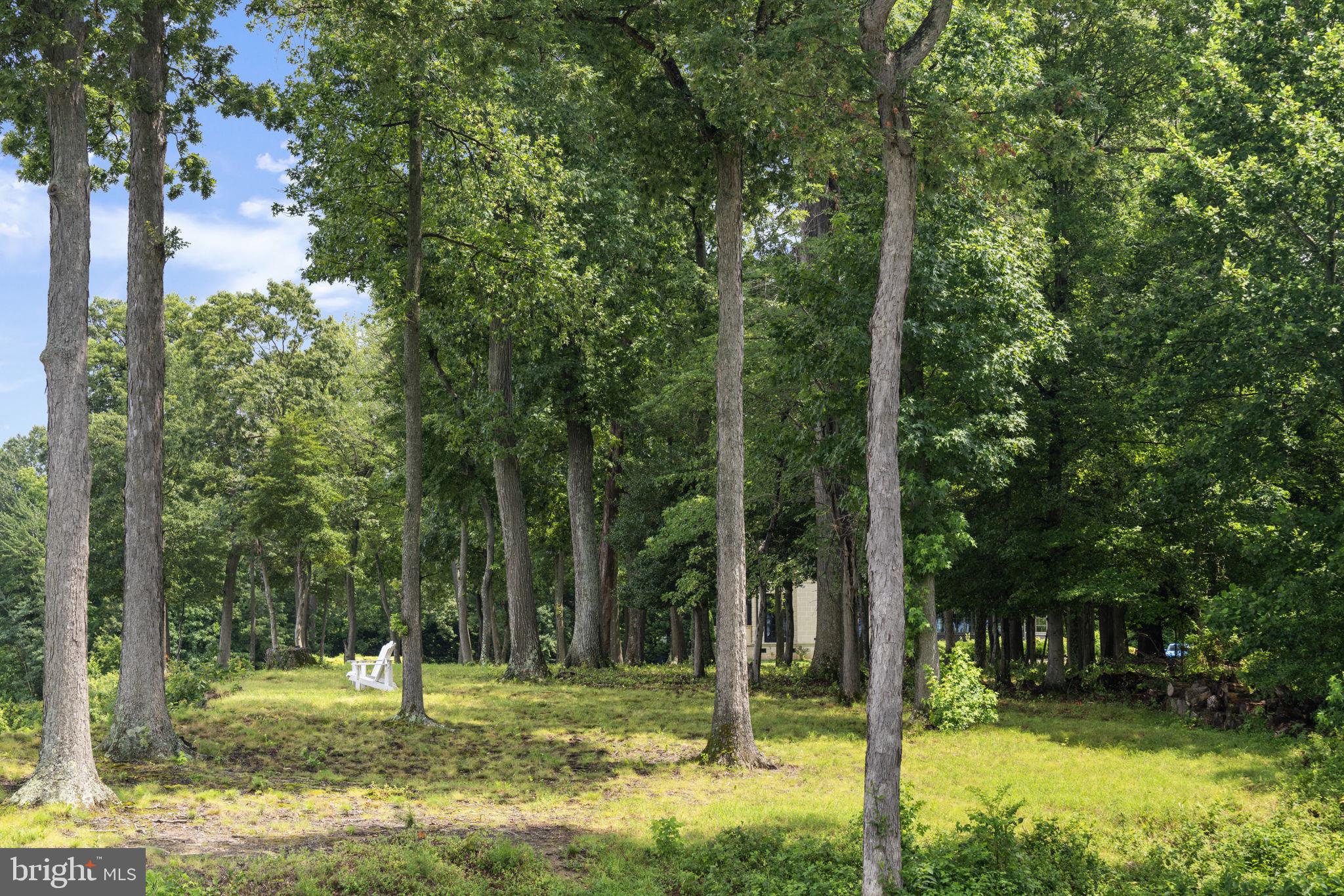 THE RESERVE - Land
