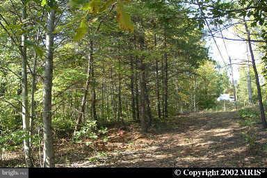 GREAT VALUE !!! $175,000 LAND VALUE.  GOOD OPPORTUNITY TO BE BUILD BY YOUR OWN!!  WATER FRONT LOT IN THE OCCOQUAN CREEK RIVER.