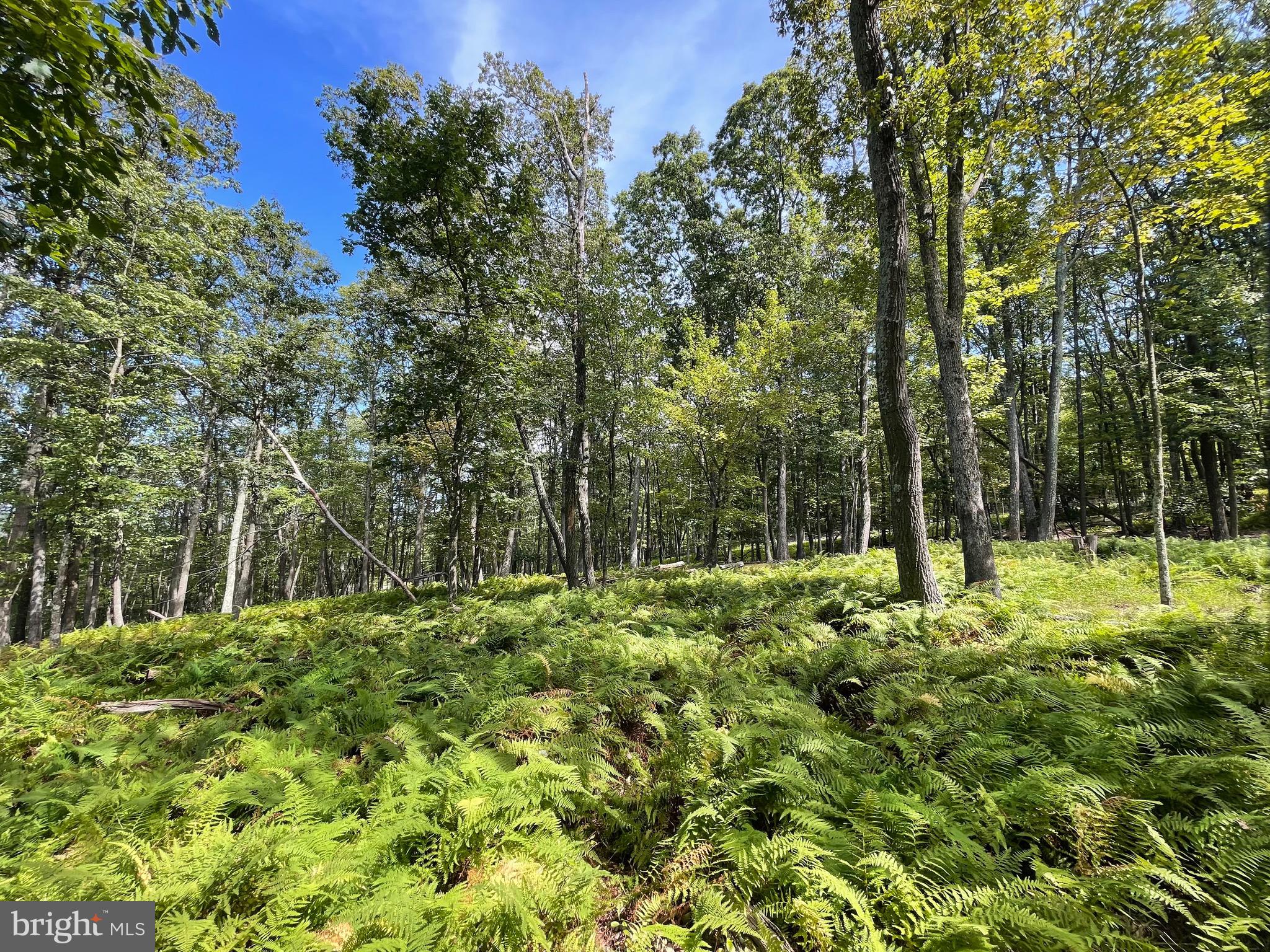 Beautiful lot at the edge of a cul-de-sac, that gently slopes upward to a level perch, just waiting for a home.  Situated on a low-traveled street at the edge of the community with adjoining lot 50 Alpine also for sale.  When the leaves fall from the trees you'll see views across the mountain!  The home of your dreams is calling!!!  The Cove Village Community is situated in the foothills of the Poconos and only 1 1/2 hours to New York,  With easy access to I-81 your commute to Hazleton, Wilkes Barre, or Scranton is a breeze.  Bring your own builder and let's get started.   Another cost-saving perc of the community is having public water and sewer already in place and ready for you to connect through Aqua of Pa.   750 acres of unoccupied prime hunting, ATV, and snowmobile riding land surround the residential portion of Cove Village and is allocated only for the residents of the community and their guests!  Driving through the community, the peace and tranquility will envelop you.  At any given moment the deer, turkey, and birds will entertain you in your own backyard.   Homes within the community vary from rustic cabins and chalets to traditional ranch or two-story homes and even exquisite new construction or dreamy mountain log homes.  There really is something for everyone.  The approximately 278 acres of residential homes and lots are occupied by full-time residents, part-time vacation homes, and even some snowbird second homes.  Cove Village offers an abundance of amenities including a swimming pool, stocked fishing lake, a basketball court, tennis courts, a volleyball court, 2 playgrounds, a baseball field, ATV paths, hunting, a mini golf course, walking paths, and year-round Community events.  I can't forget to mention the beautiful lodge ideal to rent for family gatherings.   This lot and community just might be exactly what you've been looking for.  Air B and B are not permitted. Camping on vacant lots is not permitted.  Mobile homes are not permitted.  The minimum square footage when building is 1400 square feet.  The community maintains the roads and snow removal.  Trash collection is also provided.  Tax ID number and assessed value will be assigned by the county following closing.   An appointment is required to view due to the gated community.  Call to schedule your tour today!