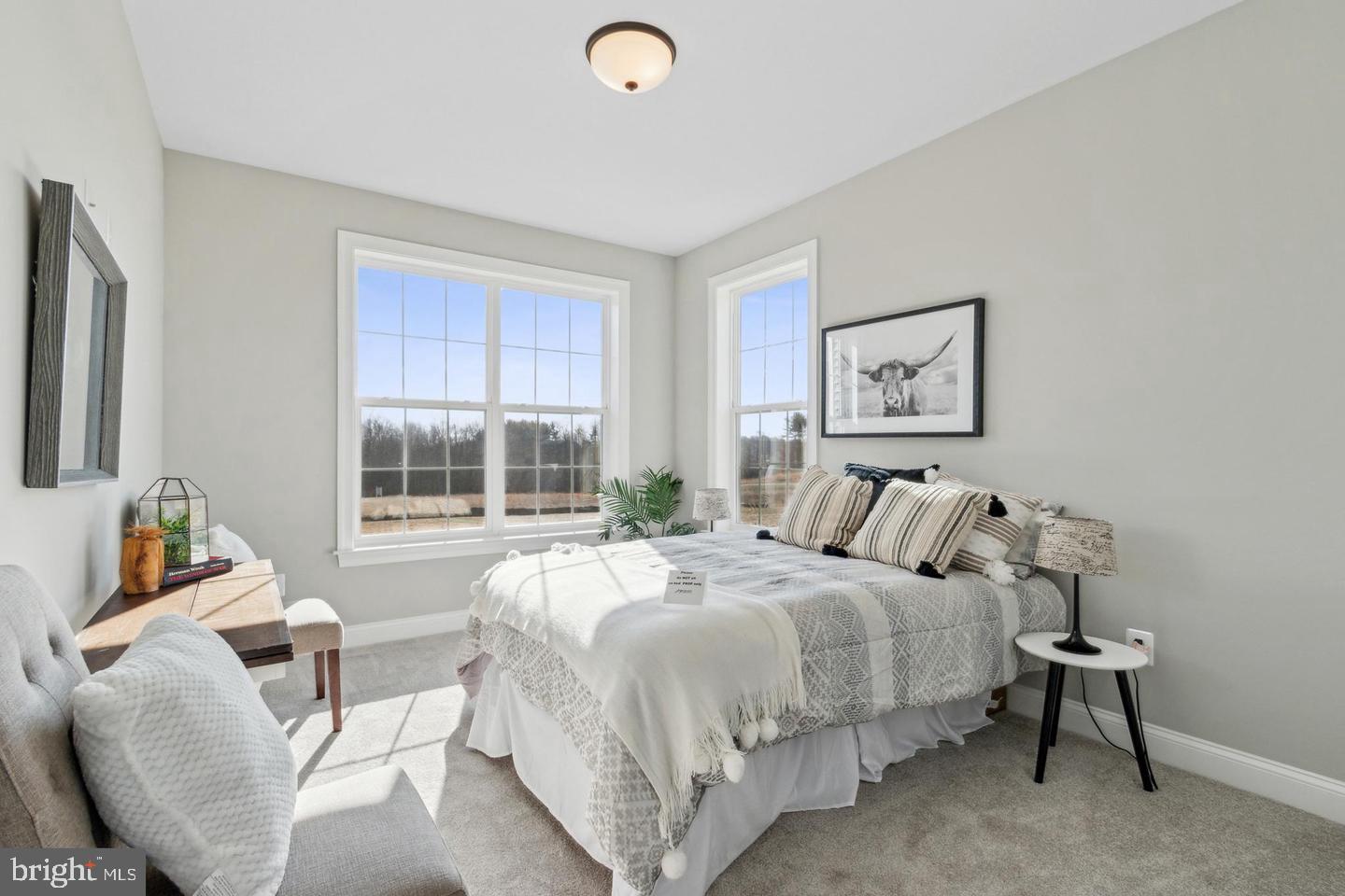 HAHN'S MEADOW - Residential