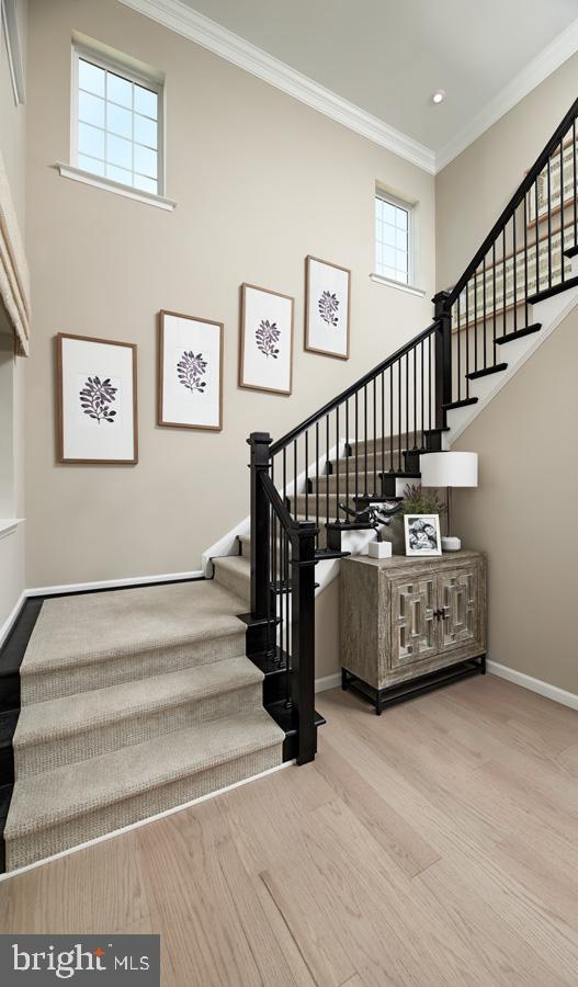 ABRAMS POINTE - Residential