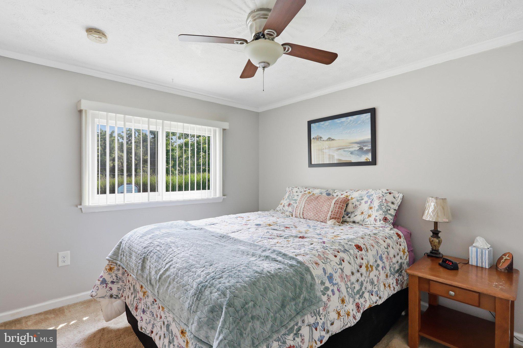BLUE RIDGE MOUNTAIN ESTATES - Residential