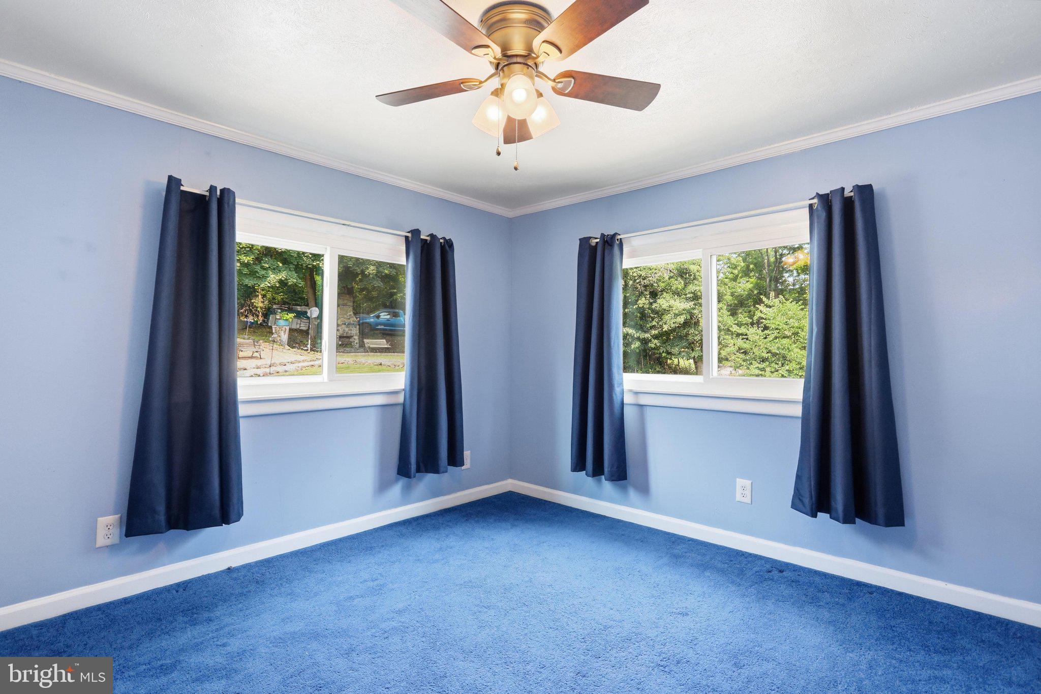 BLUE RIDGE MOUNTAIN ESTATES - Residential