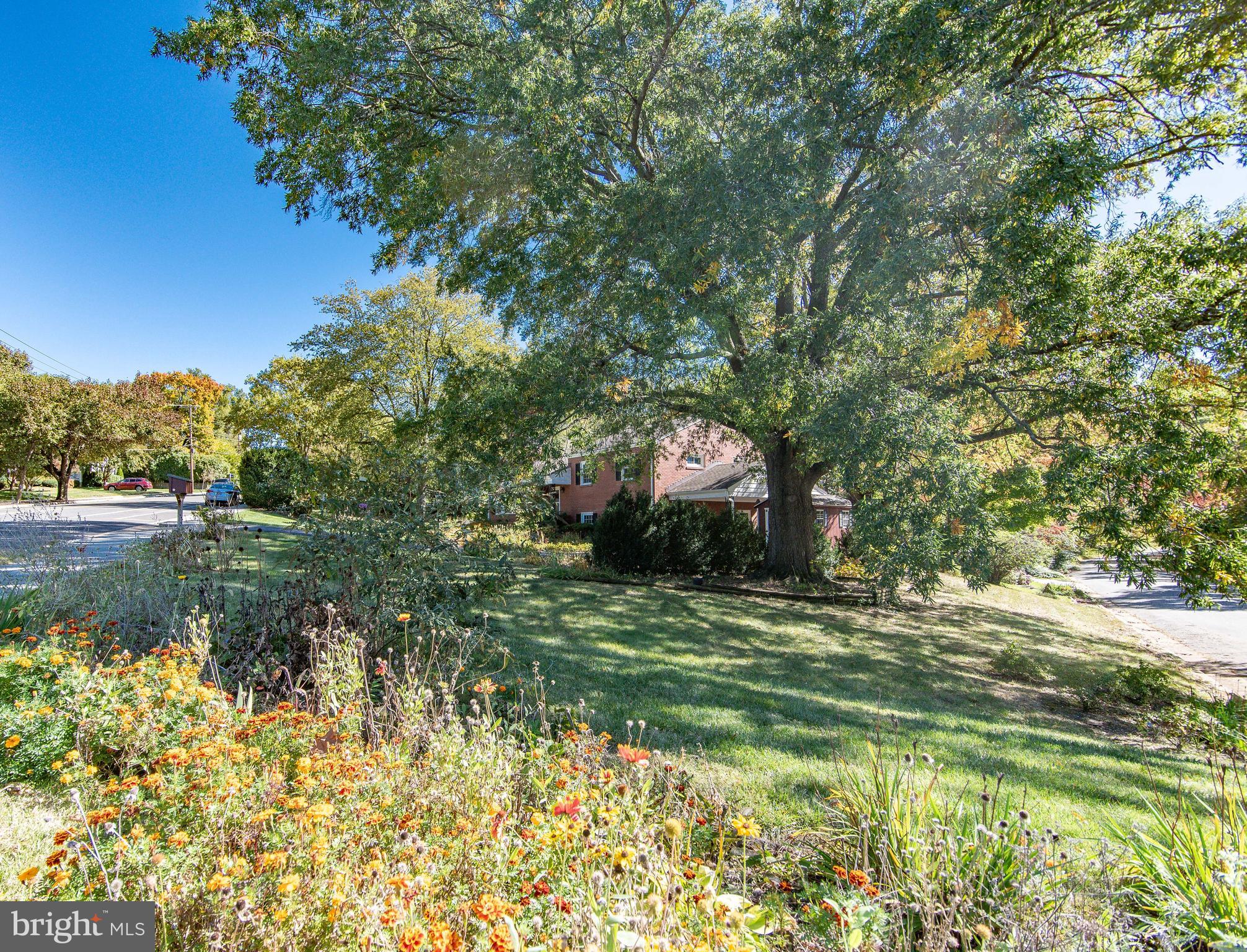 MAPLE GROVE - Residential