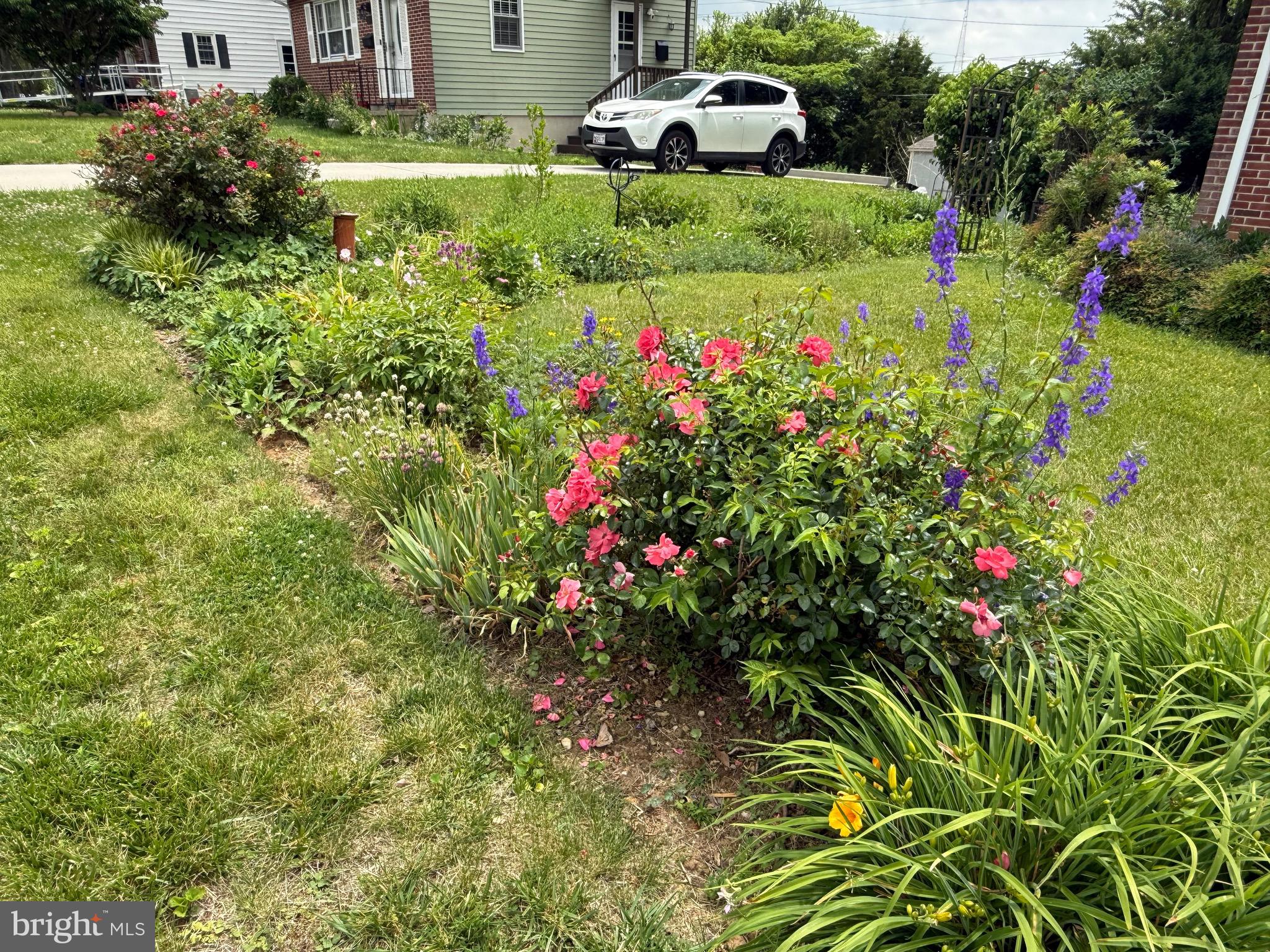 DULANEY VALLEY - Residential