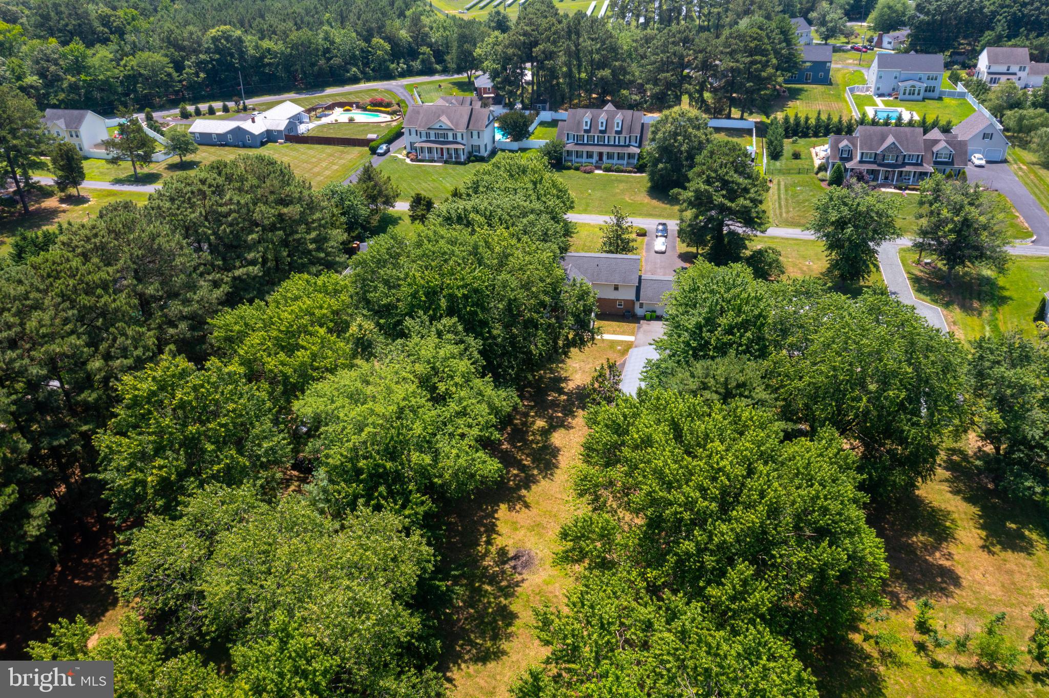 BENTONS PLEASURE - Residential