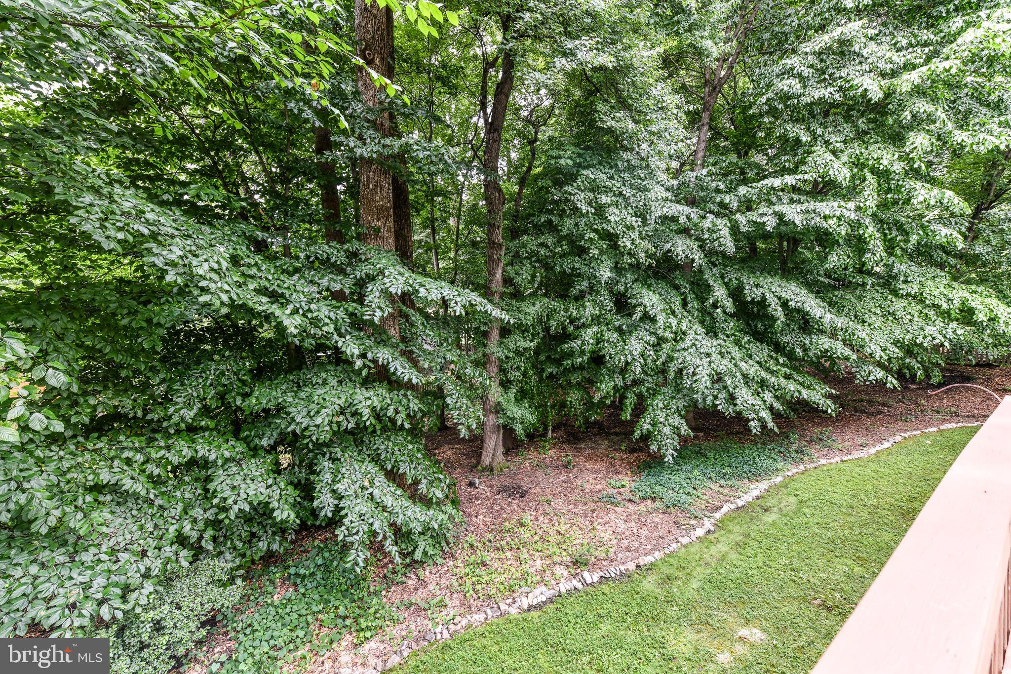 SOUTH RUN FOREST - Residential