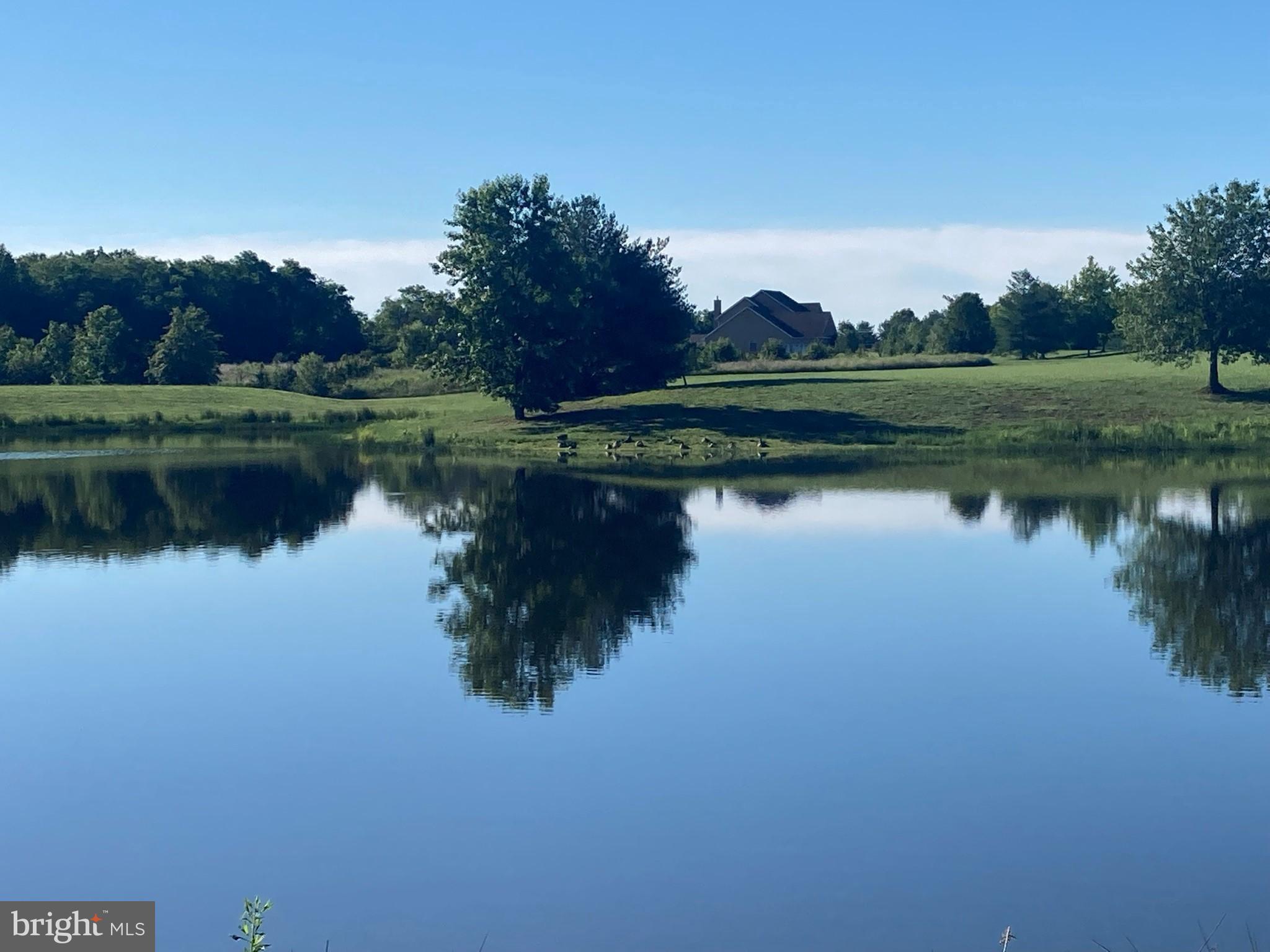 VILLAGES OF ELK NECK WOODHOLME - Residential