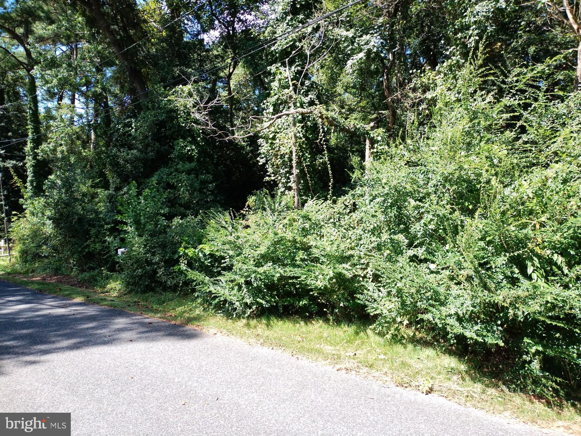 LAUREL - Land