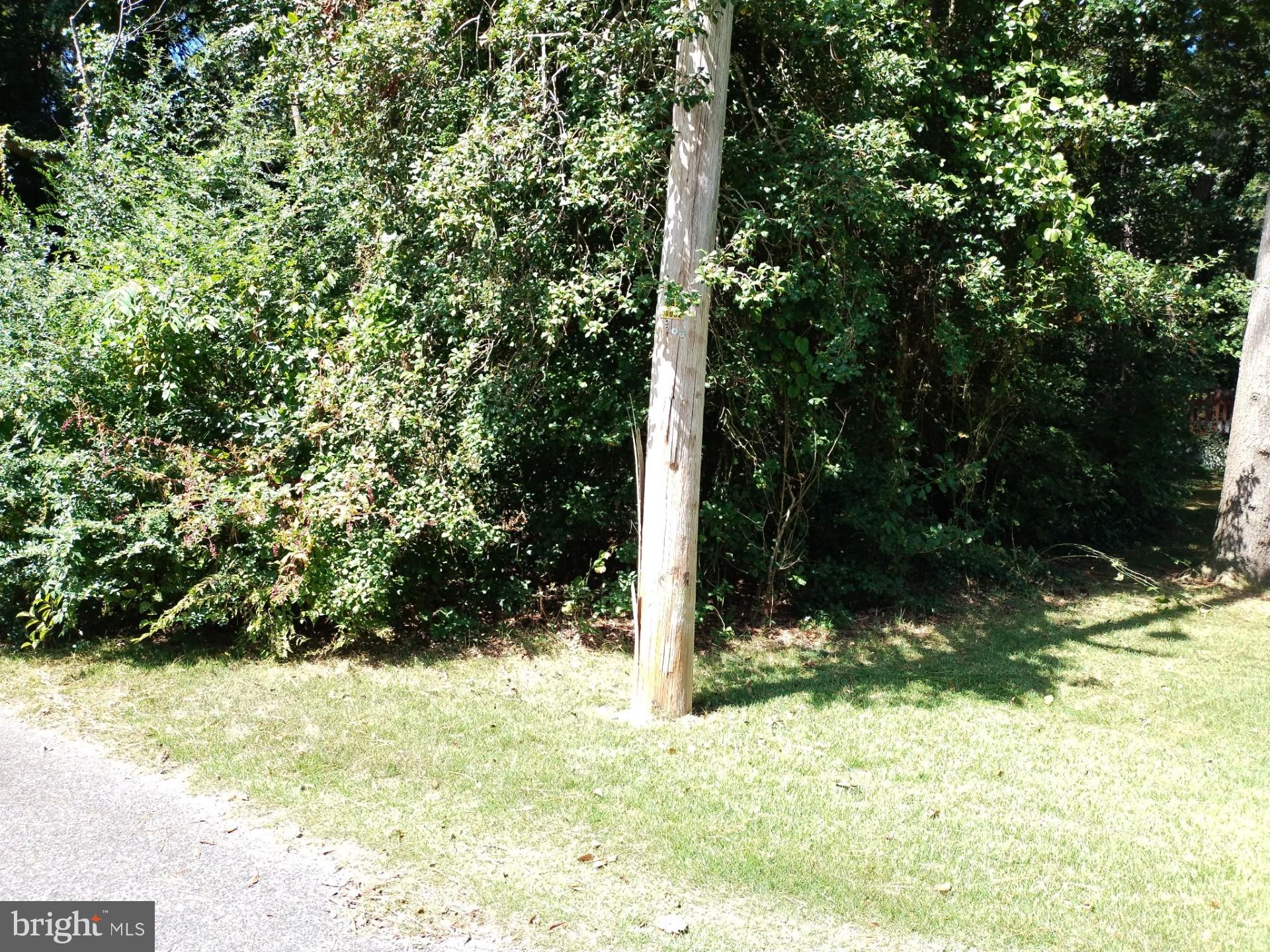 Build Your Vision on Allen Ave. Tucked away on a quiet community of Laurel, this generous .6107-acre lot on Allen Avenue is your chance to create the home of your dreams. With the flexibility to install your own private well and septic, you'll enjoy both privacy and cost savings in this great location in Laurel Delaware. Conveniently located near local schools, unique shops and dining, this lot offers both tranquility and access to nice amenities Laurel have to offer. Bring your plans and build a life you'll love in this haven! Take advantage of the unique opportunity to buy your dream home, outdoor space, and more!