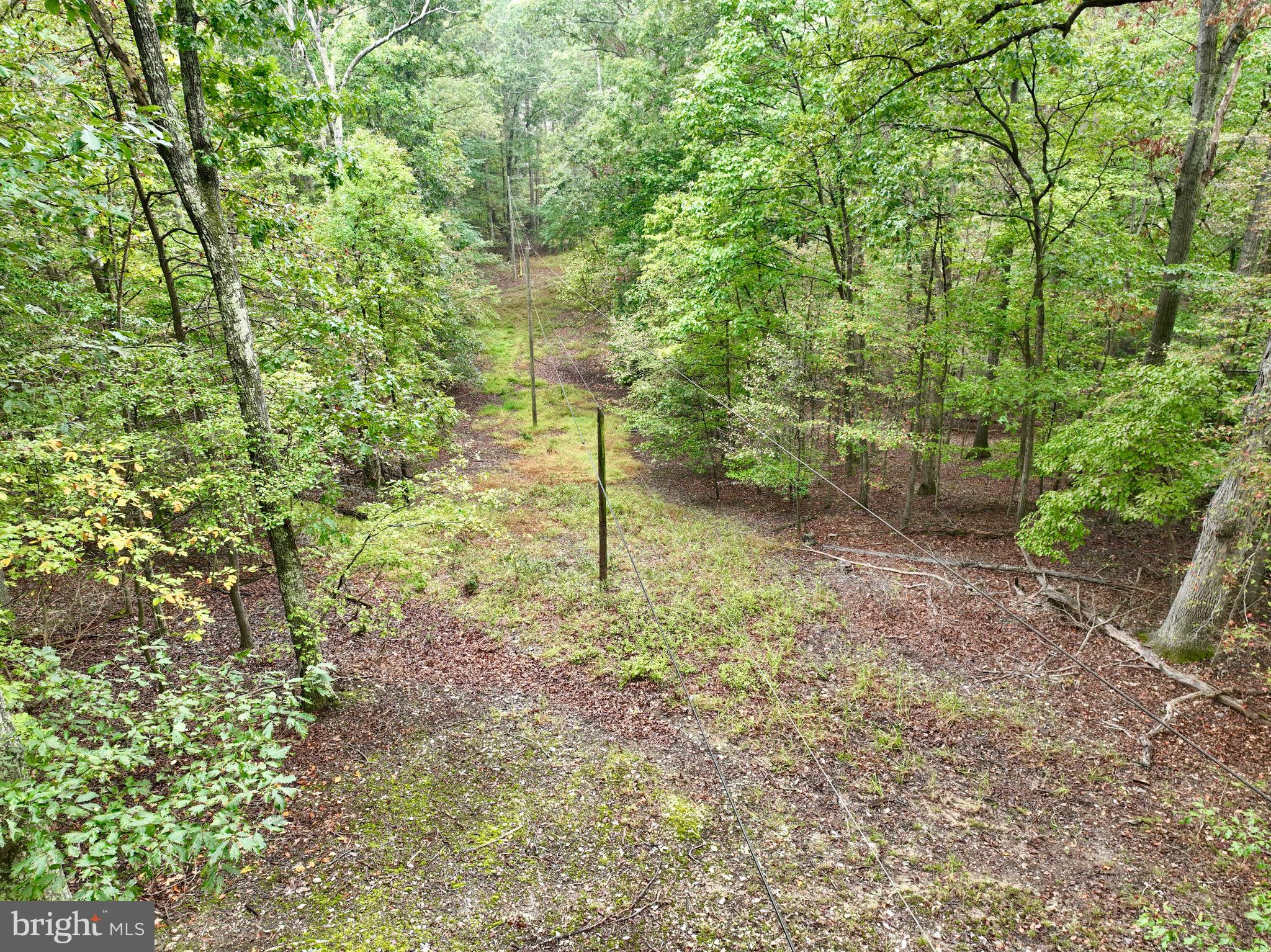 Welcome to Keedysville with this beautiful buidling lot with breathtaking mountain views. The property has frontage on Burnside Bridge Road, and  a nice entrance  that takes you to the cabin on the property. Unfortunately a tree fell on the cabin, so PLEASE DO NOT ENTER. Cabin could be repaired, that would be up to the buyer's discretion. Once on the property you'll see that it opens up to a beautiful hardwood forests, mainly with white & red oaks that are sure to draw in the wildlife making this a great little hunting property. There is a nice clearing around the cabin, so there is plenty of room if you would like to build your home in pure serenity. There is electric available on the property, the buyer would just need to contact the locat electric company for hookup fee. A perc was approved in 2013 but conversations with the county indicated they would require a simple up-to-date mini perc as they called it. The sloping grade leaves a picturesque peaceful, setting and surrounding for your privacy and peace and quiet! This is the perfect place to call your home / playground / or hunting grounds. Schedule your tour today!