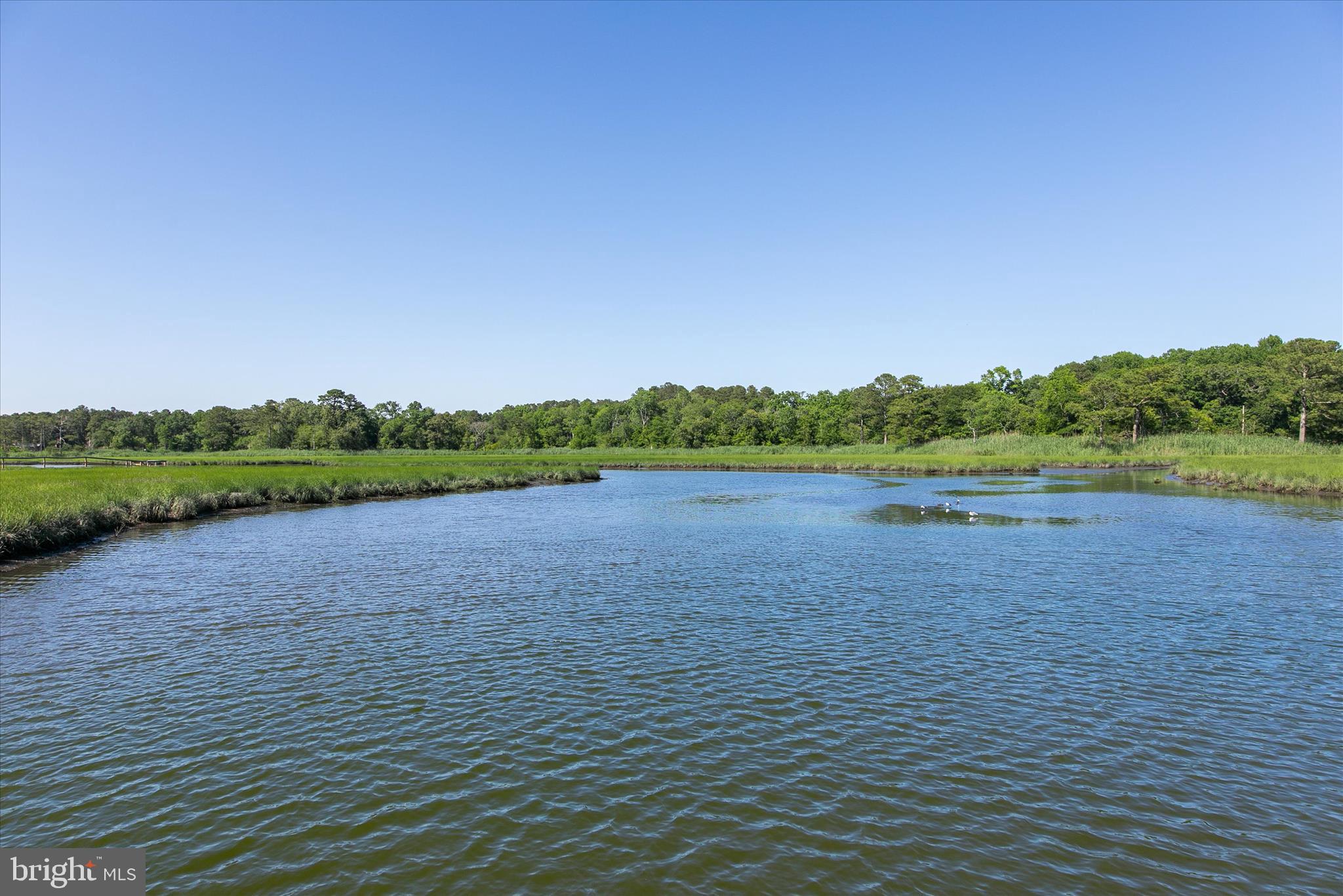 BLACKWATER VILLAGE - Residential