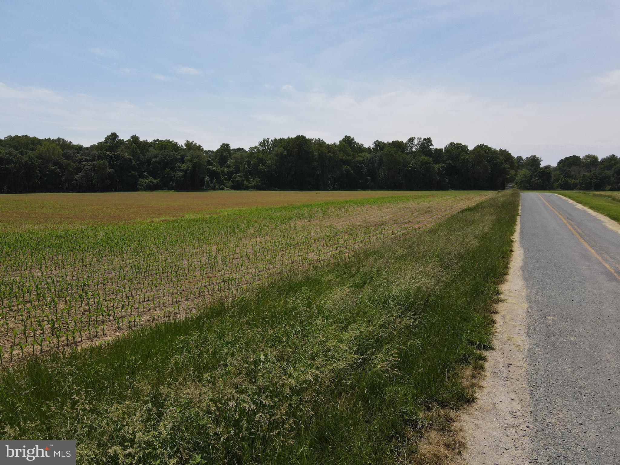 Potential for Residential Development!
87 Acre land tract that is annexed into the town of Chestertown and is served with municipal services. The property is zoned residential (R-3 and R-4) and has been previously studied for residential development. The 44± acres of farmland are surrounded by a forested buffer that may nicely serve the future layout and privacy of a residential community. Site plans and previous preliminary designs are available for review to guide future planning on the property.