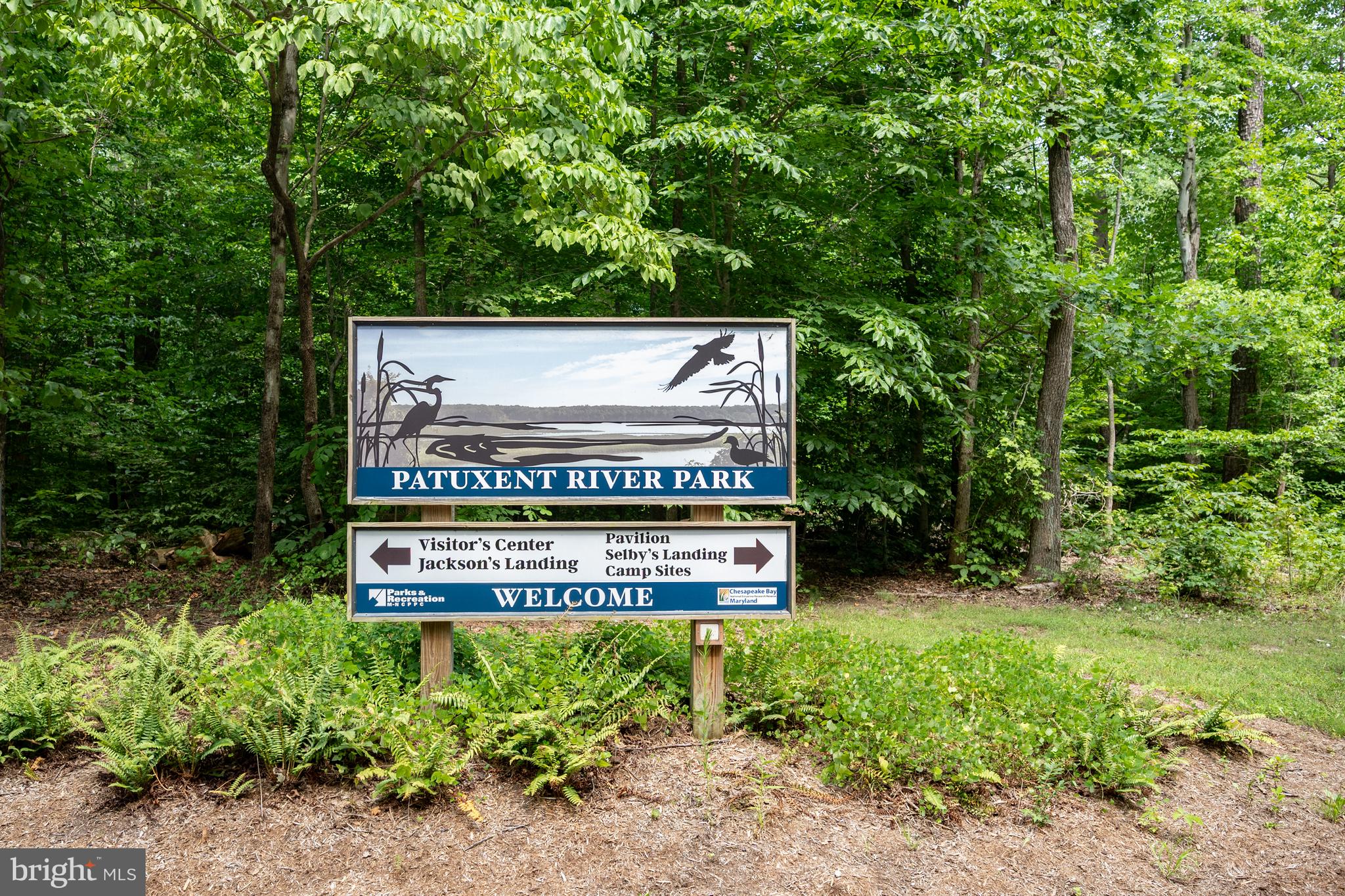 PATUXENT MANOR - Residential