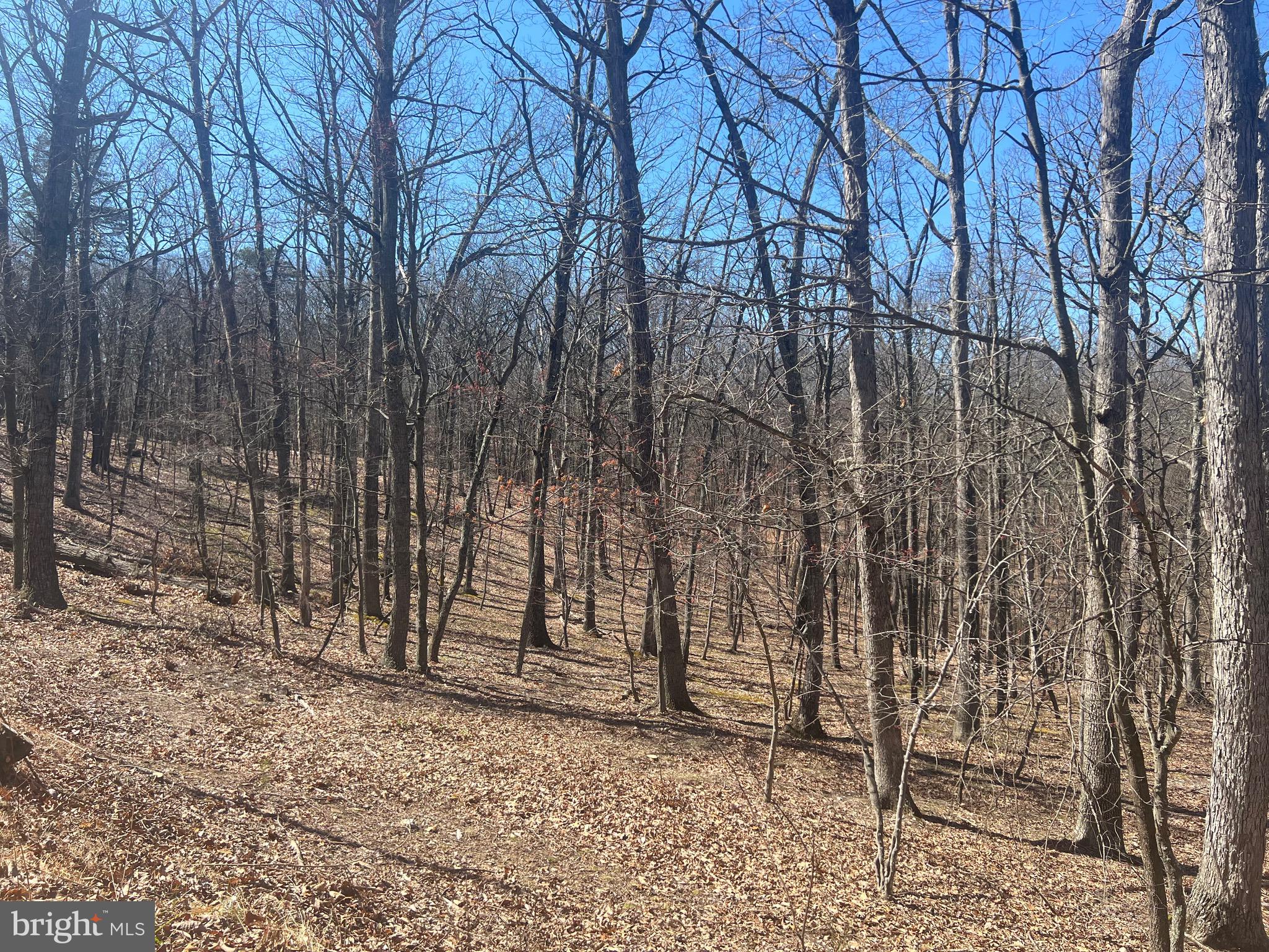 WOODS AT TAYLOR LAKE - Land
