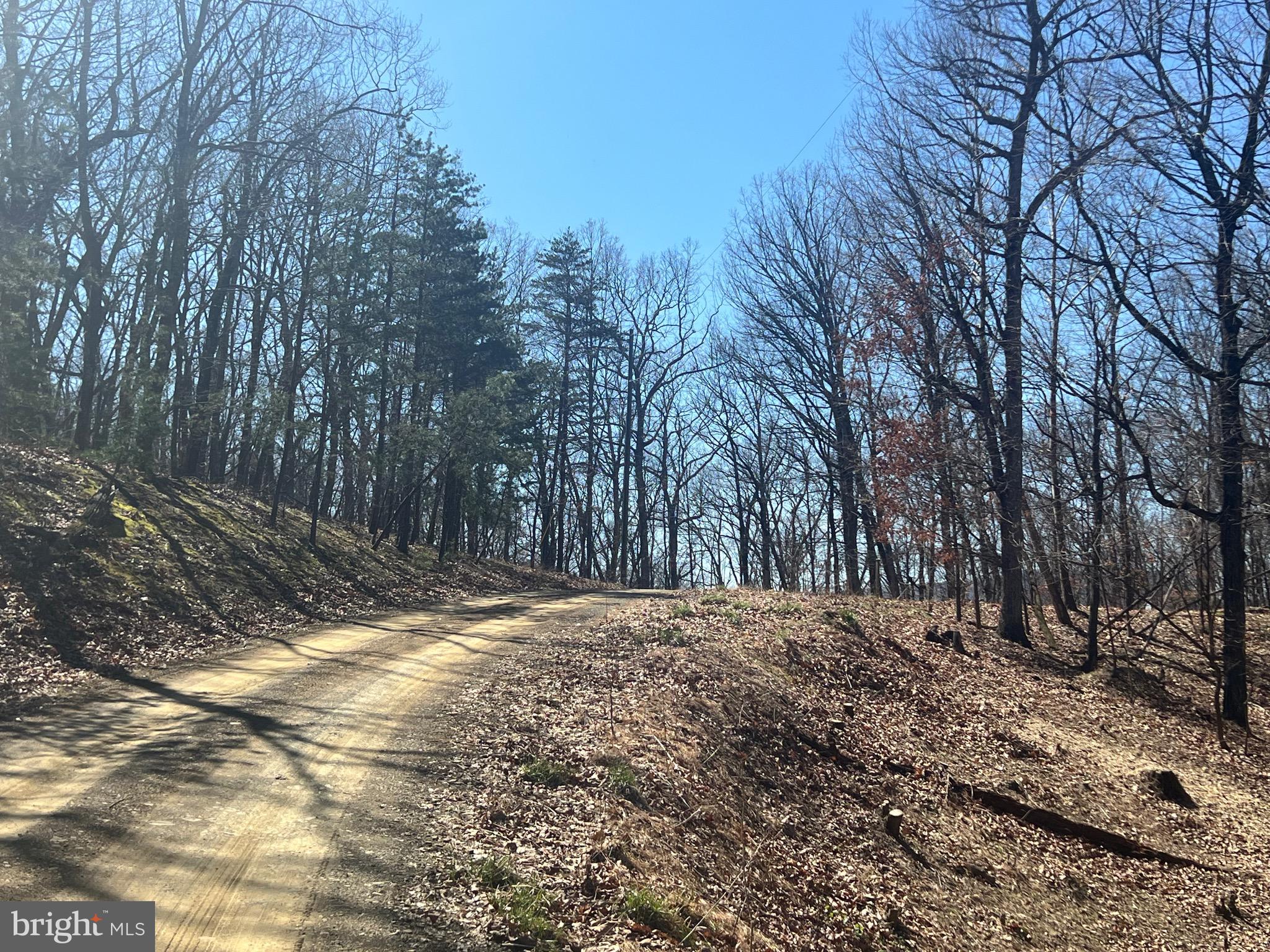 Check out this 7+ acre parcel in the Woods at Taylor Lake subdivision. Plenty of space to clear and build your perfect home! The lot is located towards the end of Oakwood Dr. You will have access to the subdivision's private lake. Just minutes from Keyser and a short distance to Fort Ashby, WV and Cumberland, MD.