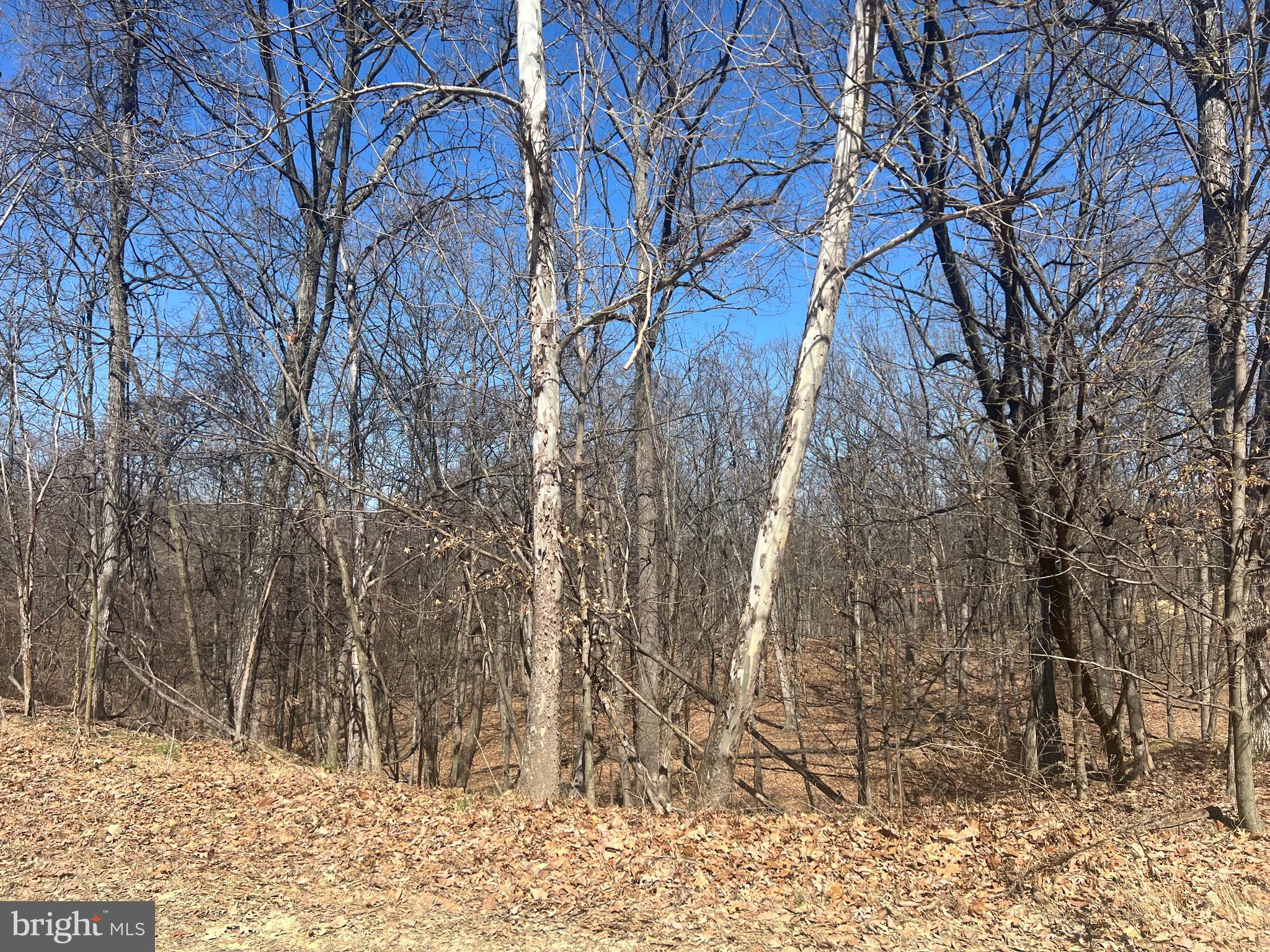 WOODS AT TAYLOR LAKE - Land