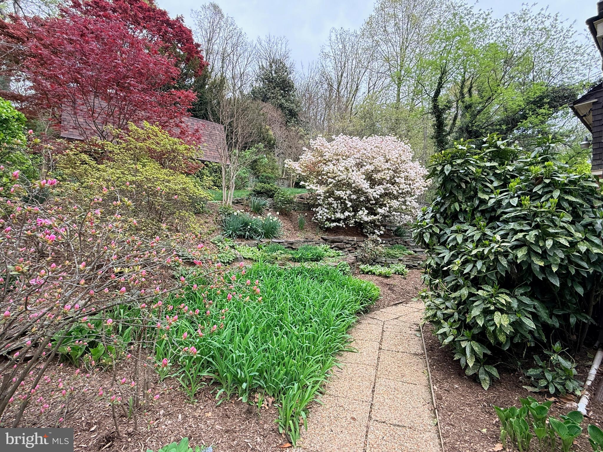 ROLAND PARK - Residential