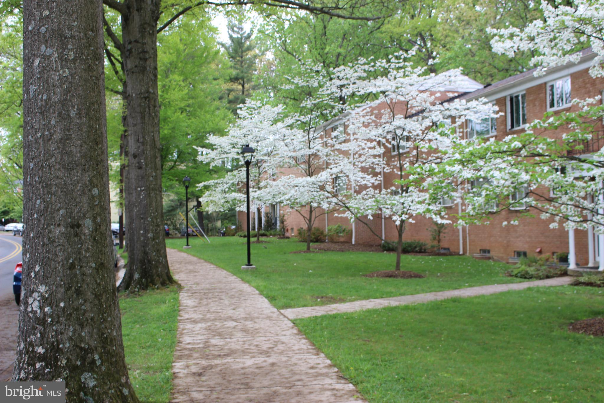 PARKSIDE CONDOMINIUMS - Residential