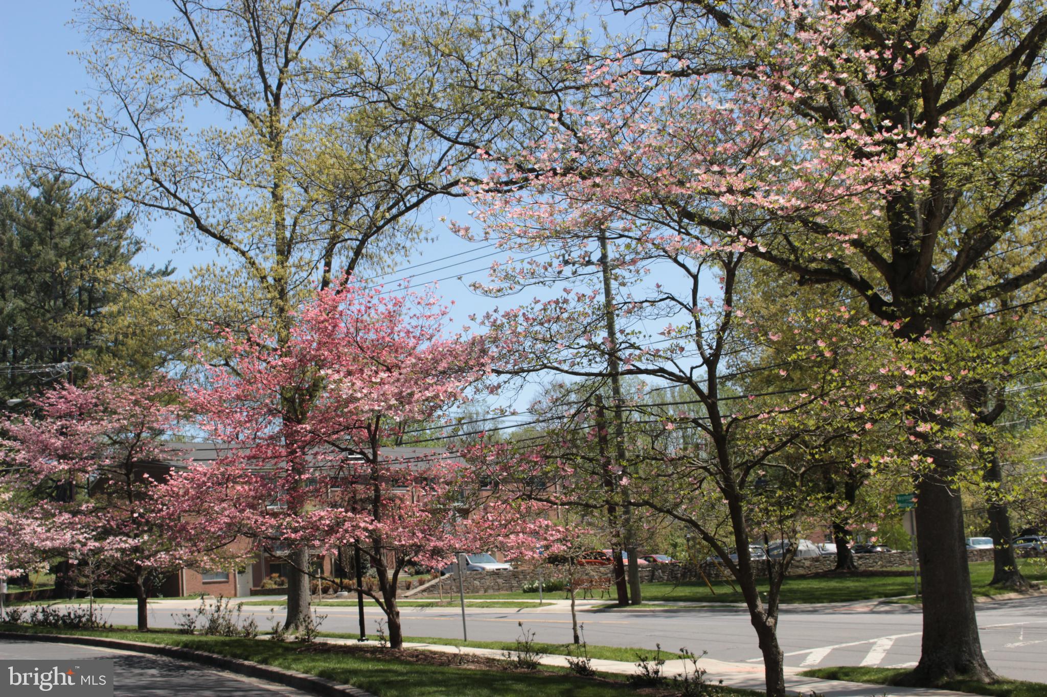 PARKSIDE CONDOMINIUMS - Residential
