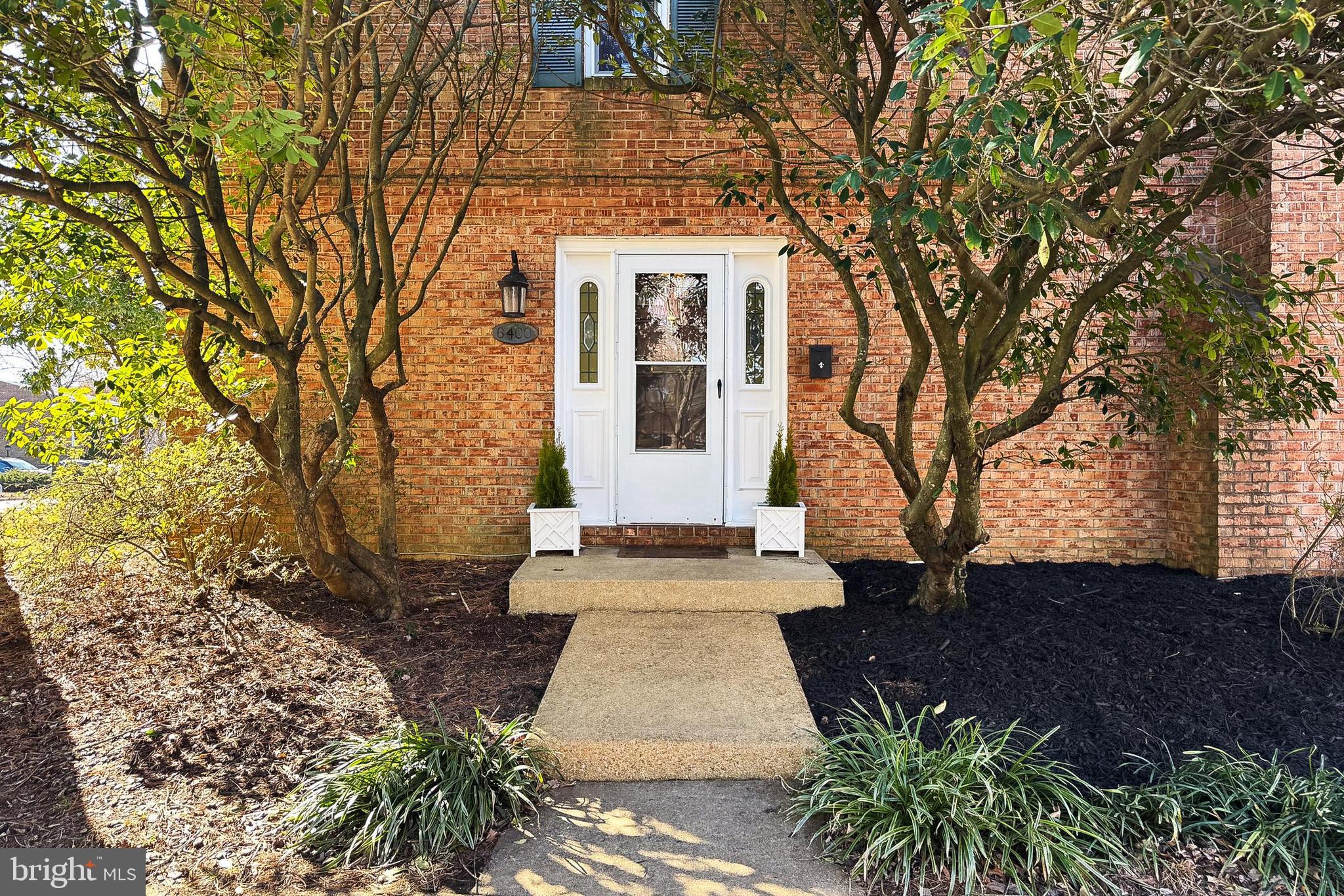 GEORGETOWN WOODS - Residential