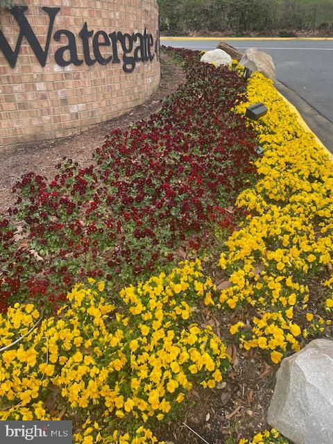 WATERGATE AT LANDMARK - Residential