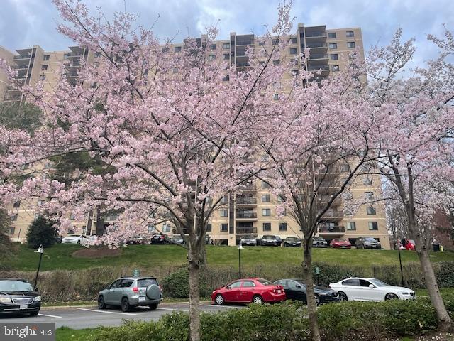 WATERGATE AT LANDMARK - Residential