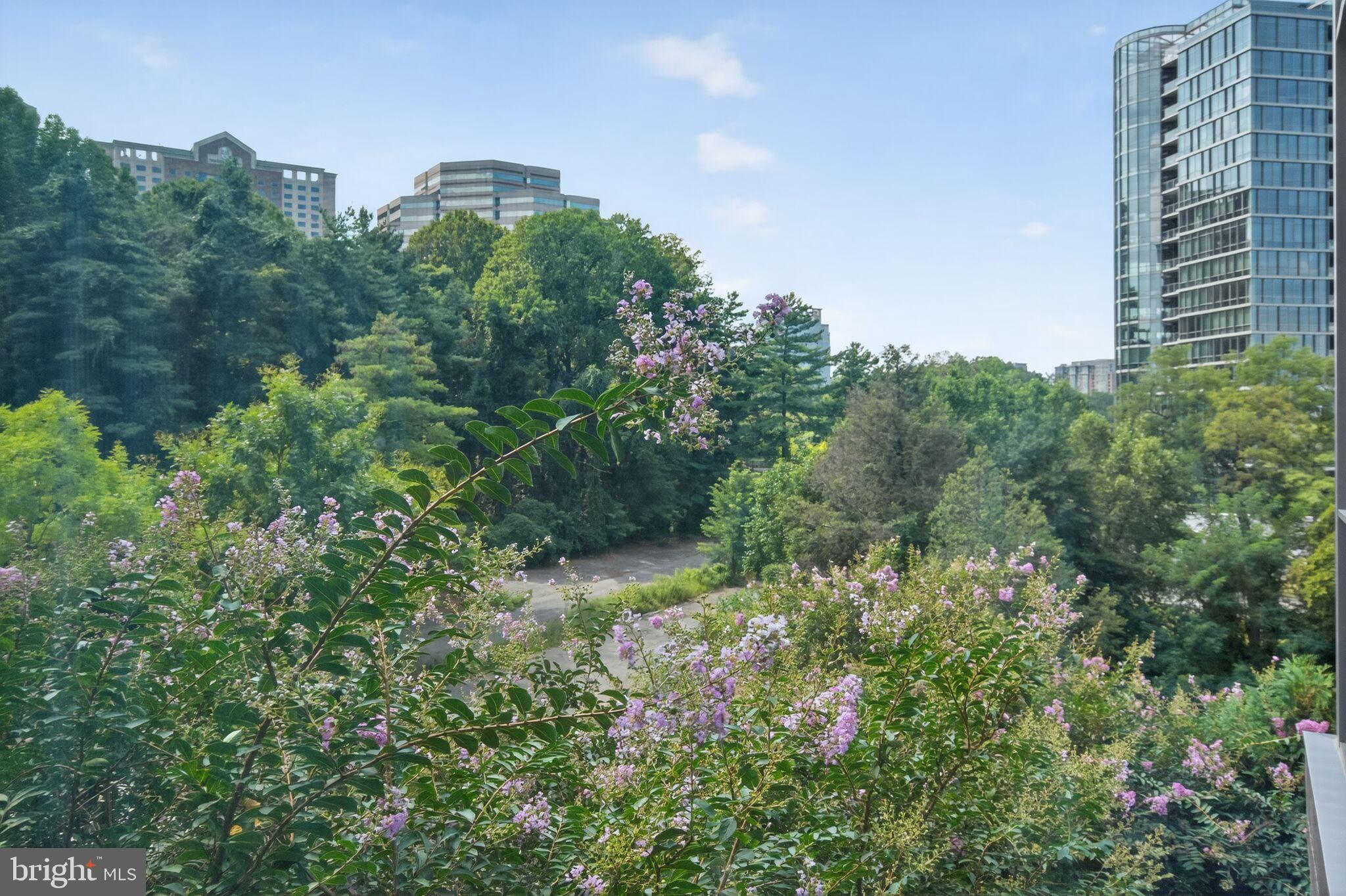 TYSONS CORNER - Residential
