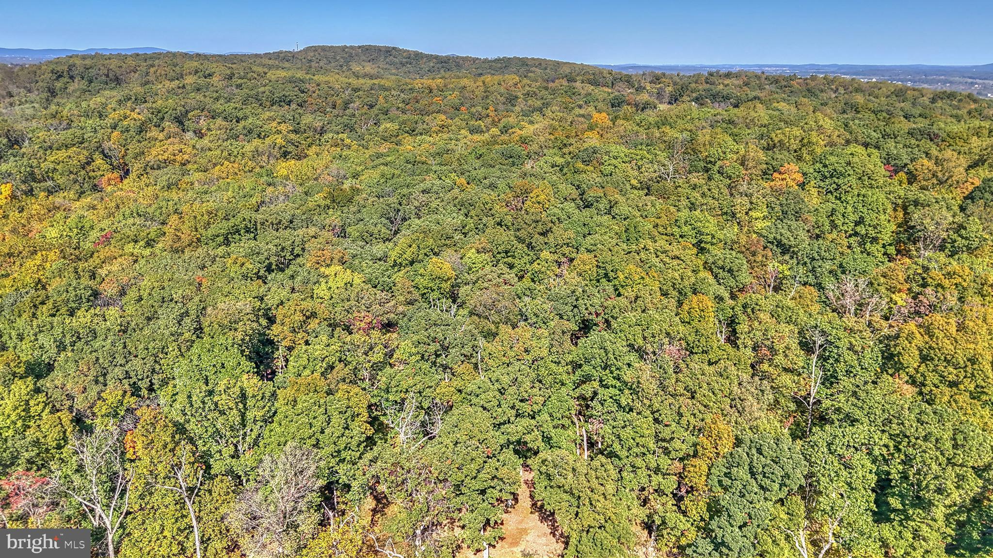 BEACON HILL - Land