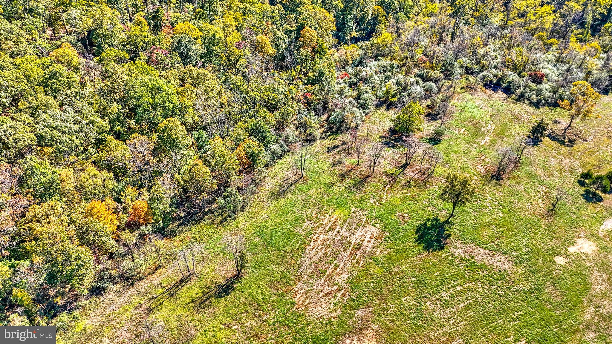 BEACON HILL - Land