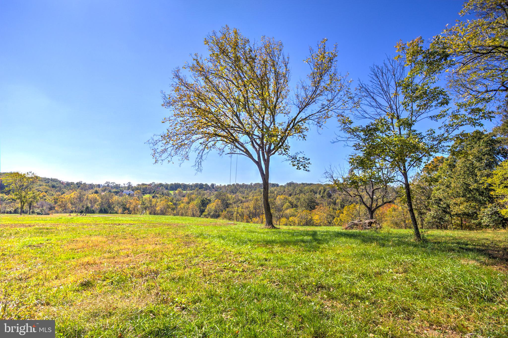 BEACON HILL - Land