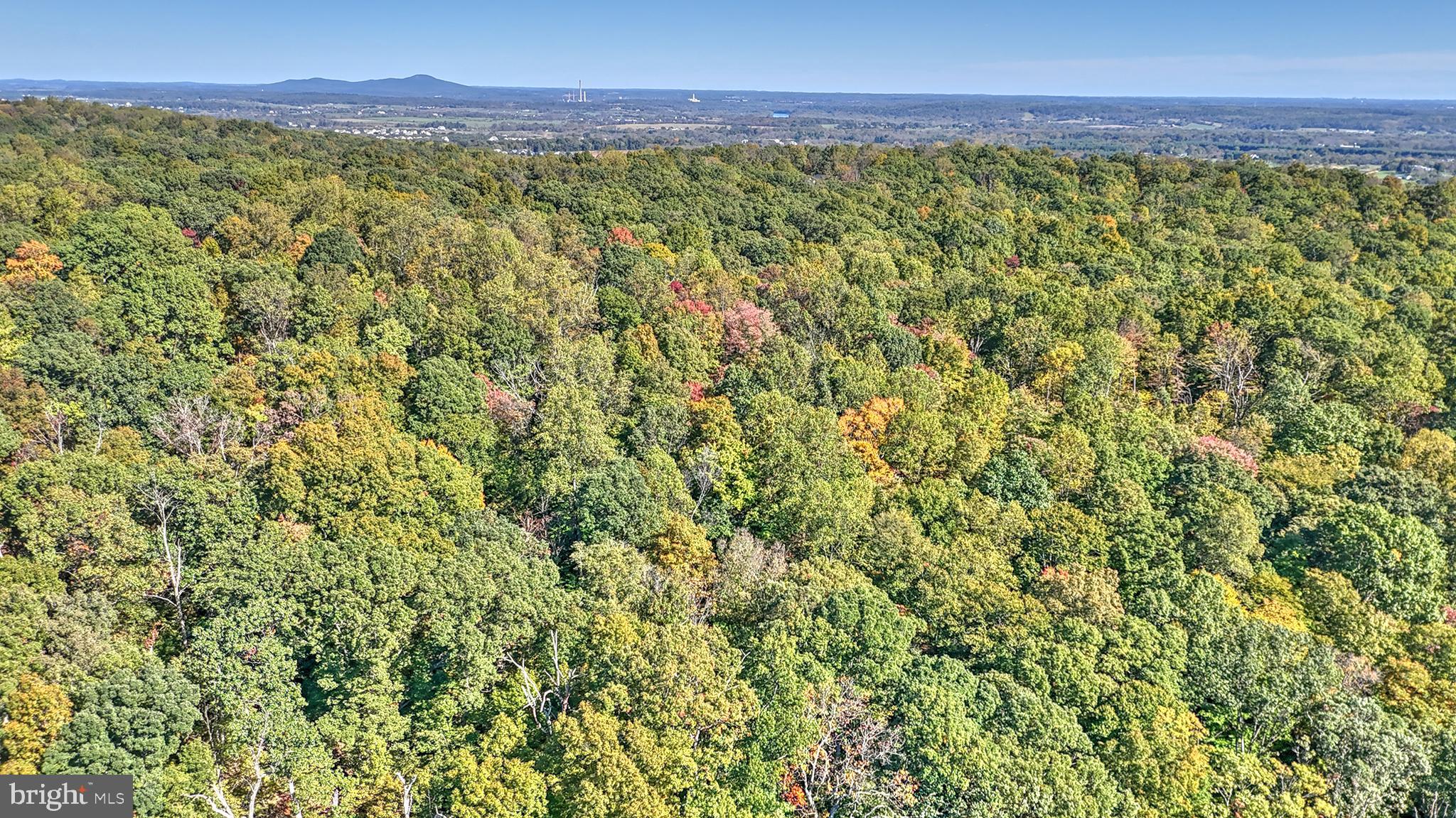 BEACON HILL - Land