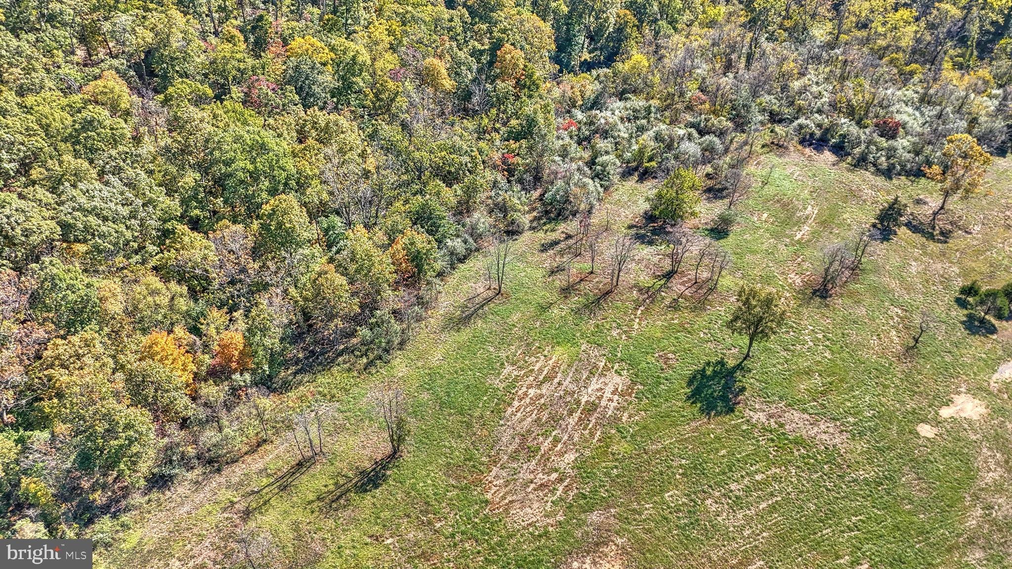 BEACON HILL - Land