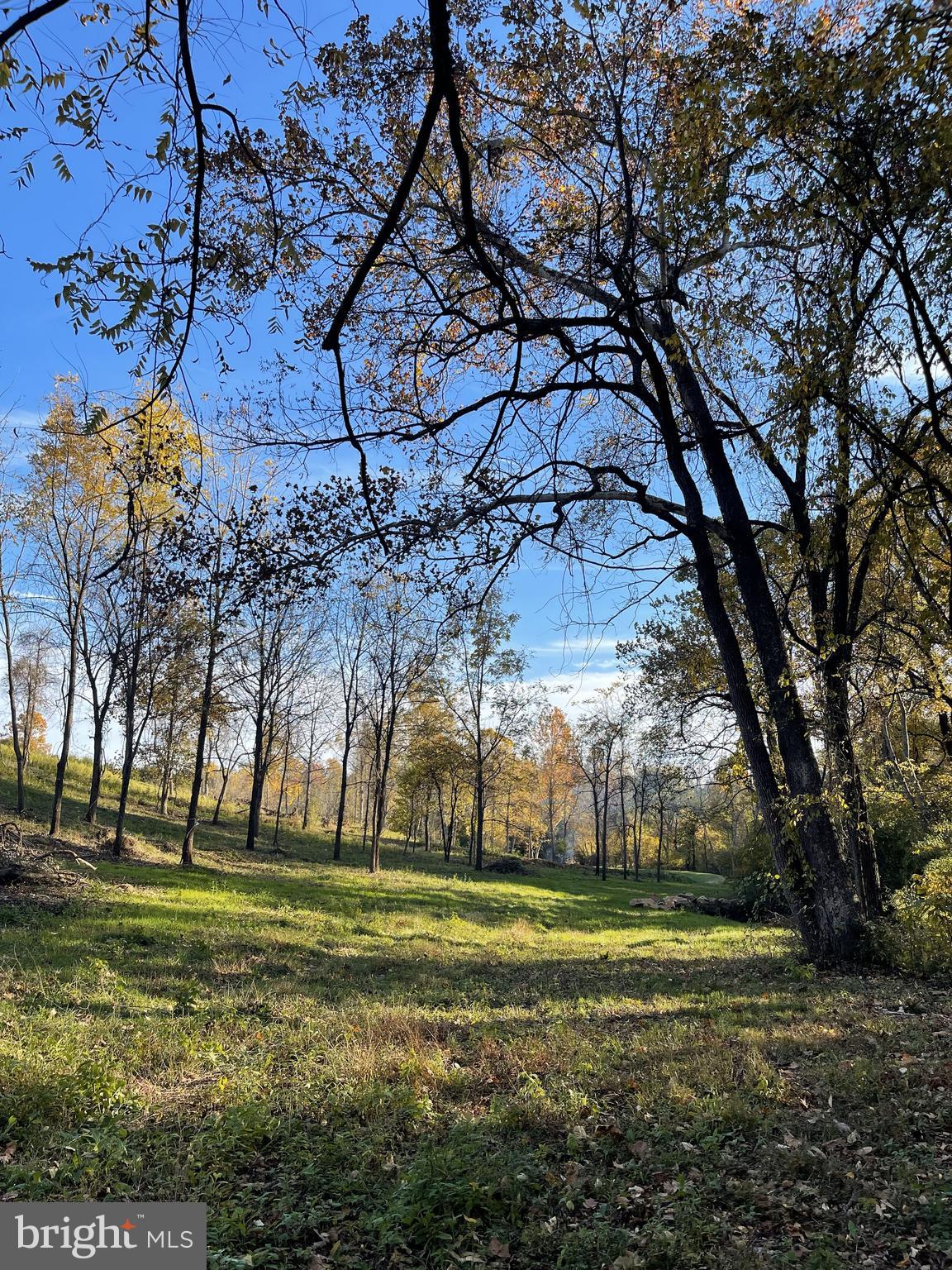 BEACON HILL - Land