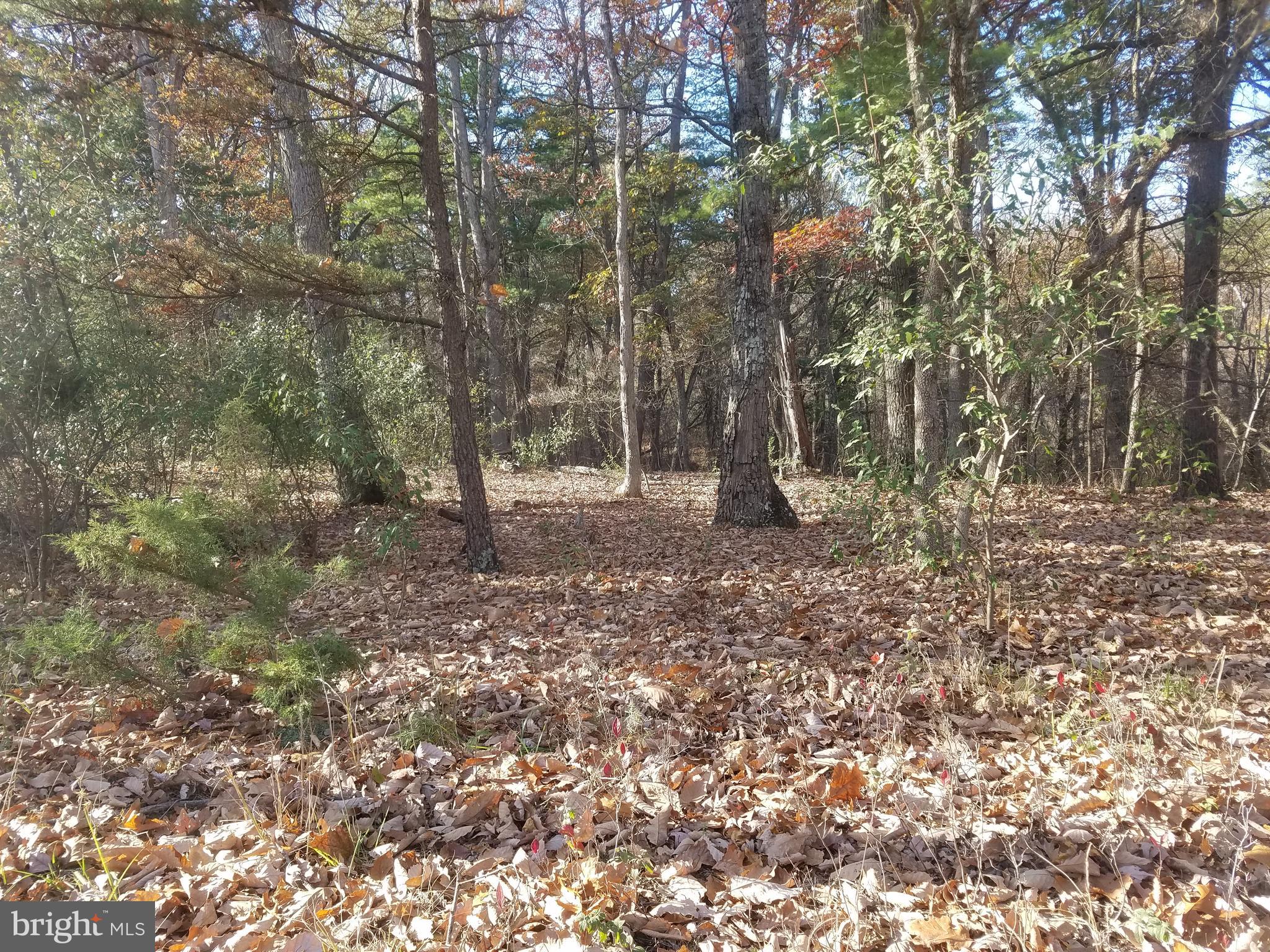CRYSTAL VALLEY ESTATES - Land