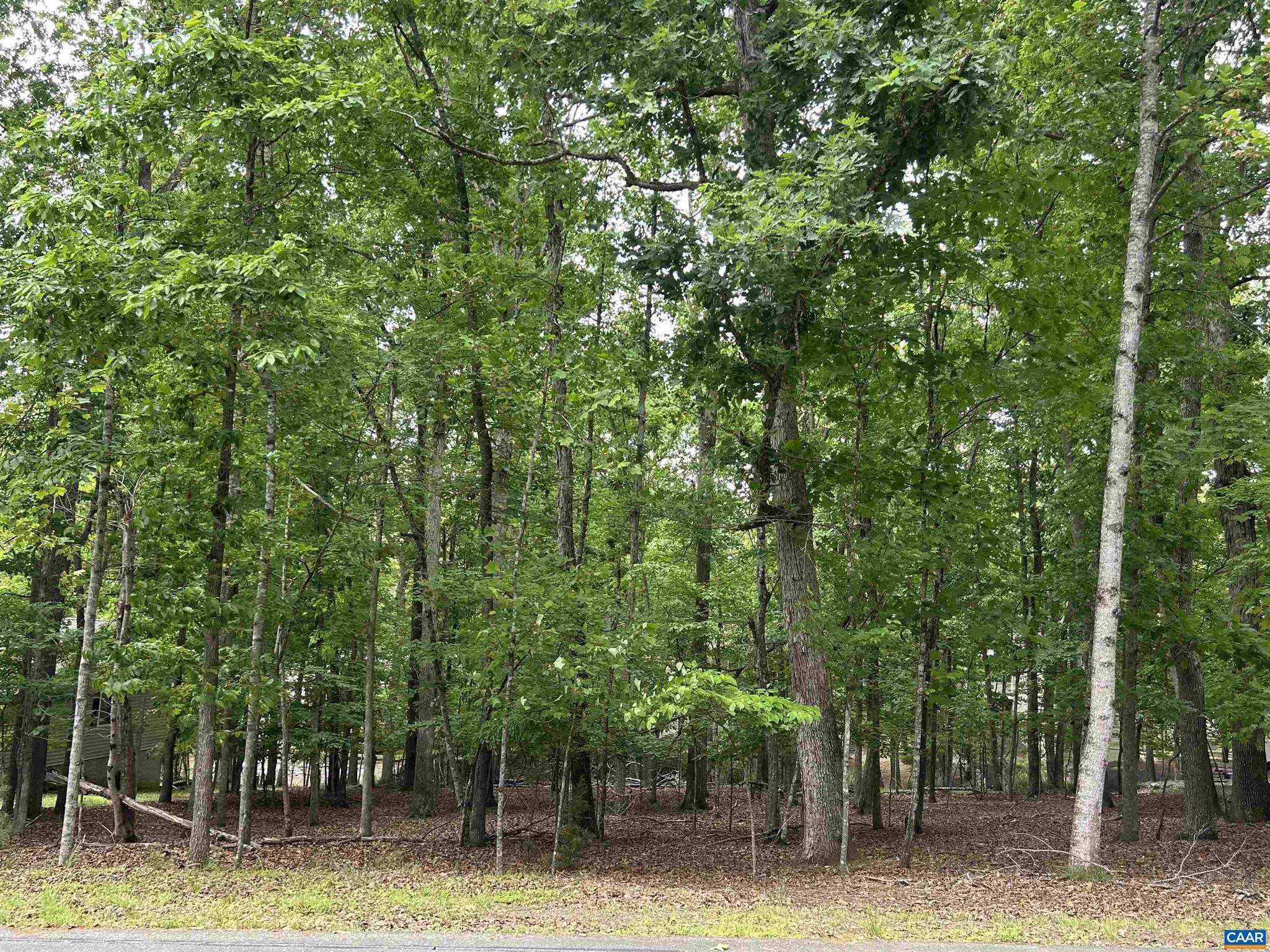 One of the last lots available in this section of Lake Monticello! This homesite is near to both Beach 3 and the golf course, with convenient shopping right outside the nearest gate. The level, wooded terrain presents a great opportunity to build your brand-new dream home in a popular neighborhood. Come see what life at the lake is all about!